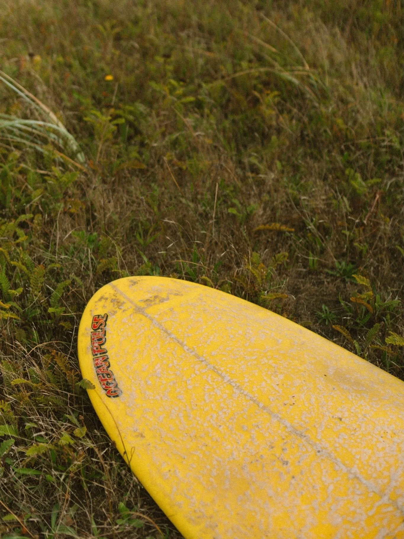 Absolutely love fall on the coast. The crowds thin out, the light gets all moody, and the swell shows up. If you&rsquo;re thinking about getting in the water this October, here&rsquo;s how to do it safely and with respect for the people who call this
