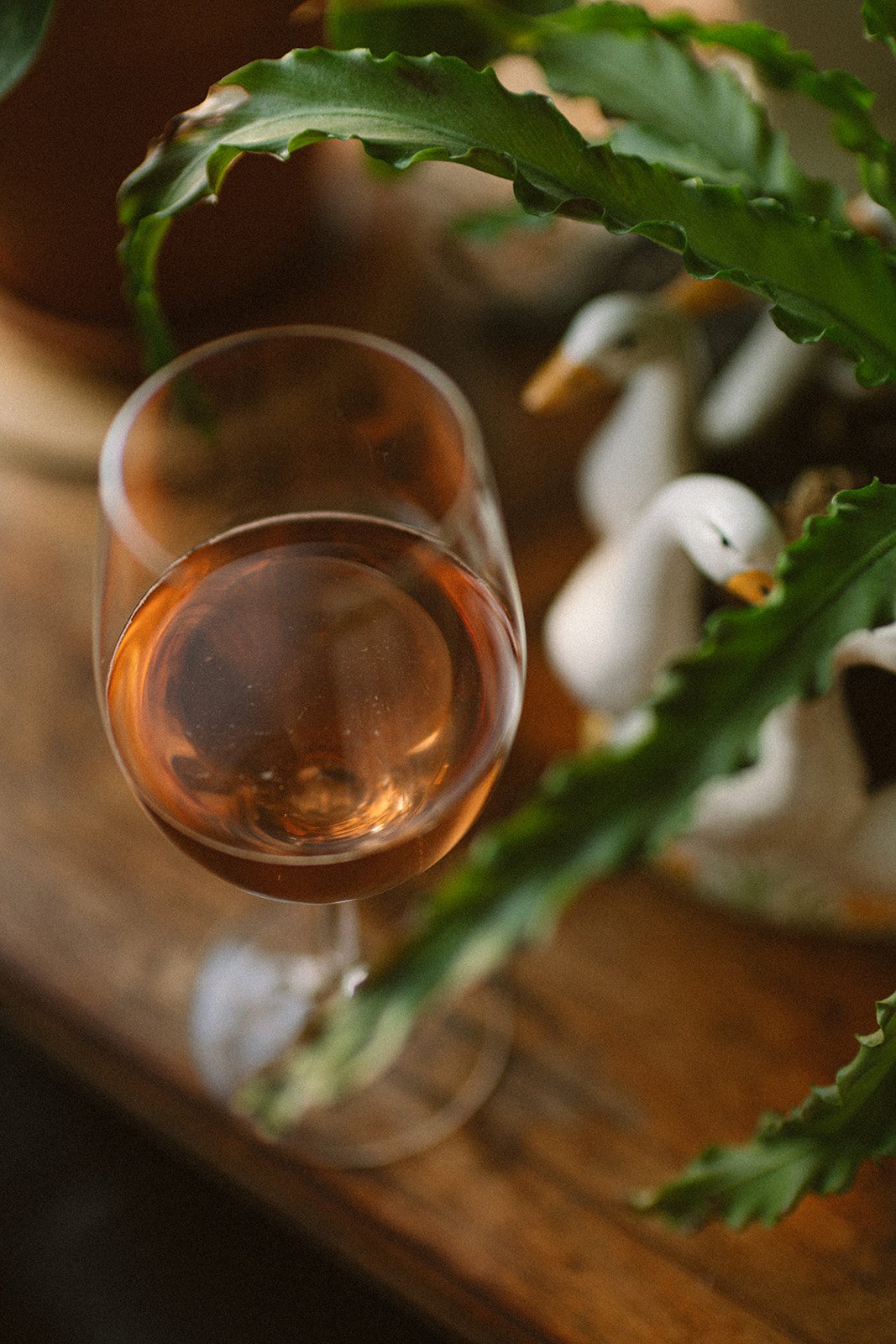 Tokeland Hotel, Spring Farm Dinner, Finnriver Farm and Cidery, Pacific Northwest food events, Washington coast dining, Slow Food Snail of Approval, farm to table Washington, hospitality photography Pacific Northwest, coastal Washington events, Raymon