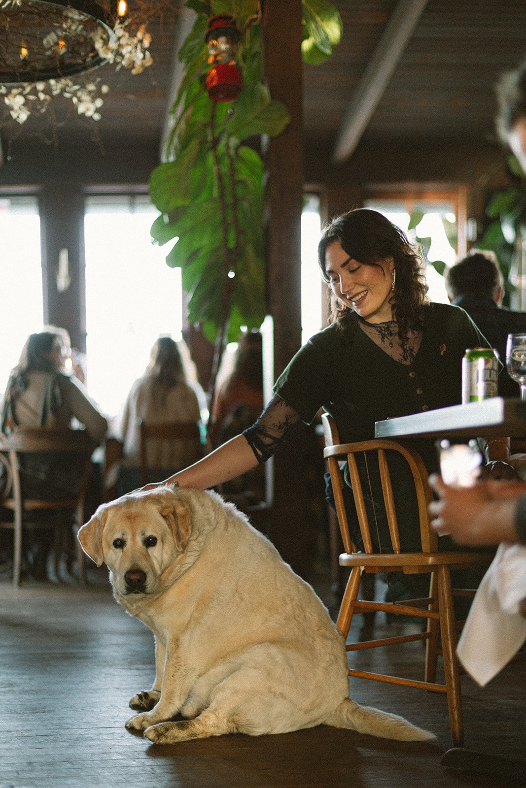 Tokeland Hotel, Spring Farm Dinner, Finnriver Farm and Cidery, Pacific Northwest food events, Washington coast dining, Slow Food Snail of Approval, farm to table Washington, hospitality photography Pacific Northwest, coastal Washington events, Raymon