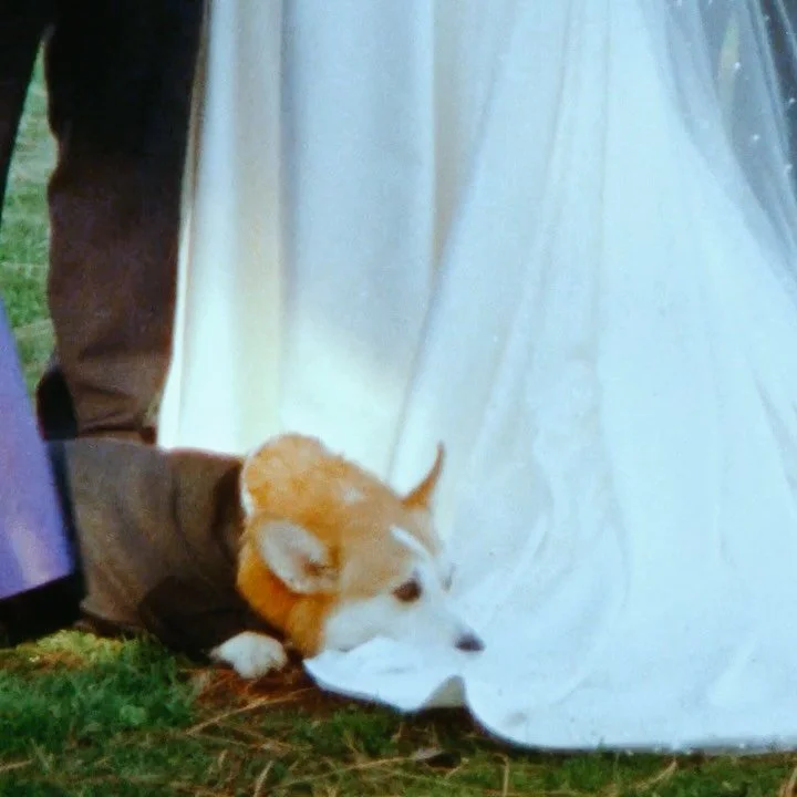 I try to find the moments where people don&rsquo;t realize they&rsquo;re being recorded. It&rsquo;s where I often find the most love and joy. 

#super8 #weddingvideographer #oregonweddingvideographer #super8weddingfilm #destinationweddingvideographer