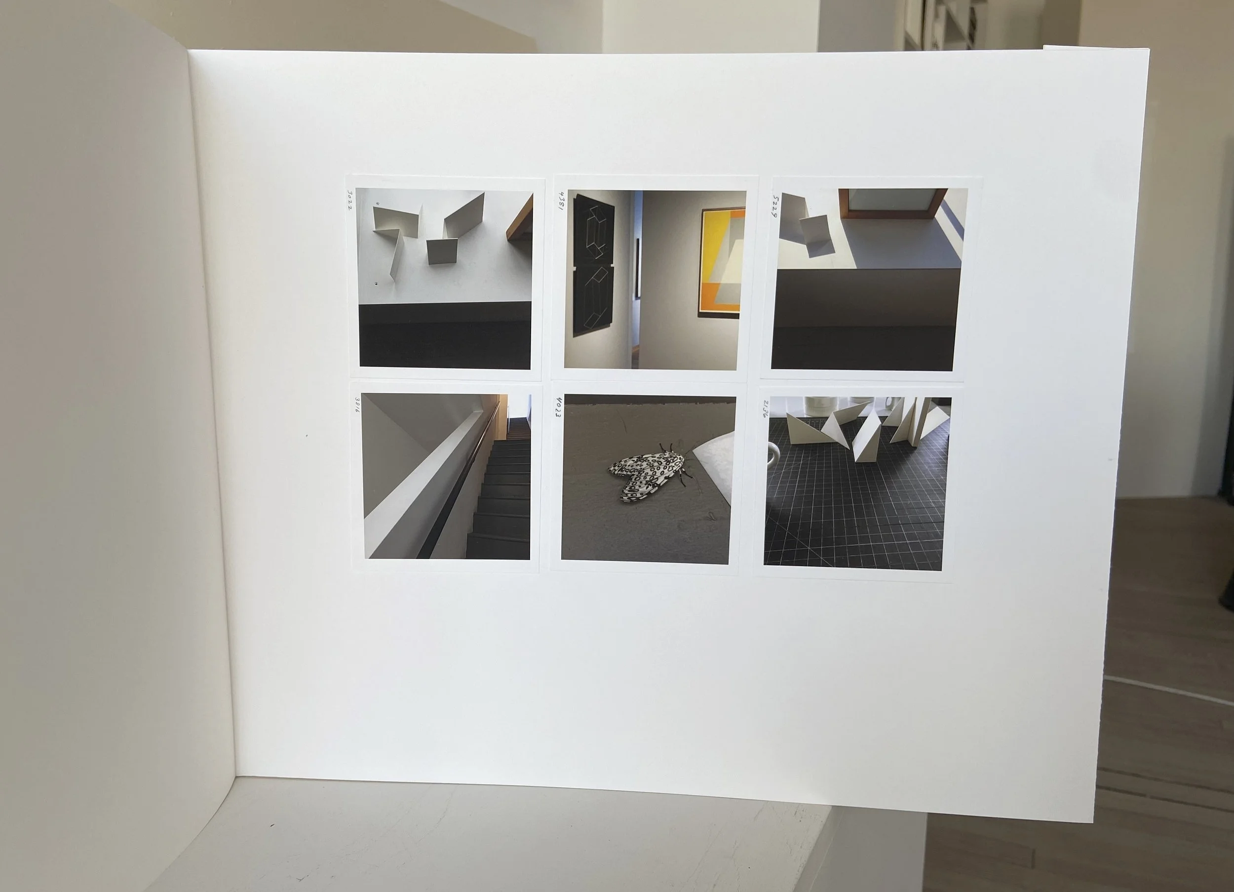 interior, interior space, interior object, still life, photograph, handmade book sculpture, photographic sequence, julian hoeber, portrait, moth, paper sculpture