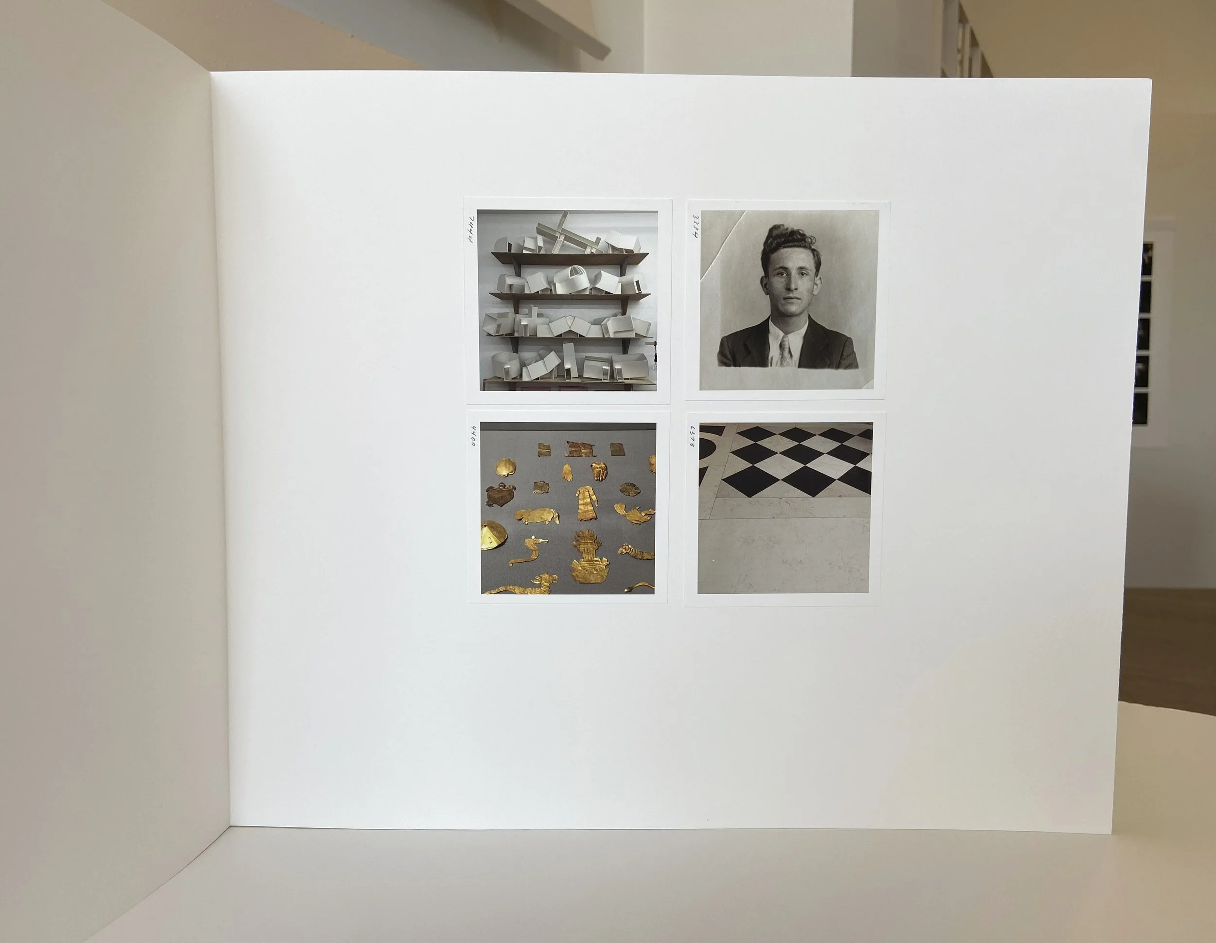 interior, interior space, interior object, still life, photograph, handmade book sculpture, photographic sequence, julian hoeber, portrait, fogg museum, harvard museum