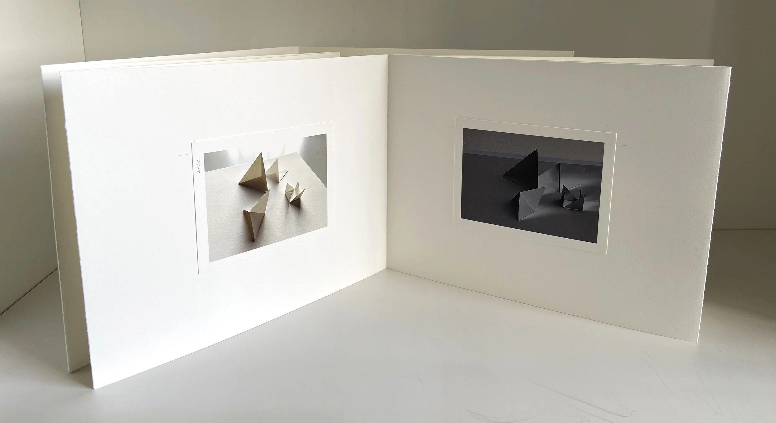 books, artist books, artist made books, handmade, editioned books, process, making, accordion books, ditta baron hoeber, philadelphia artist, 200 books and, artist blog, photographic sequence, photography, folded paper, paper art