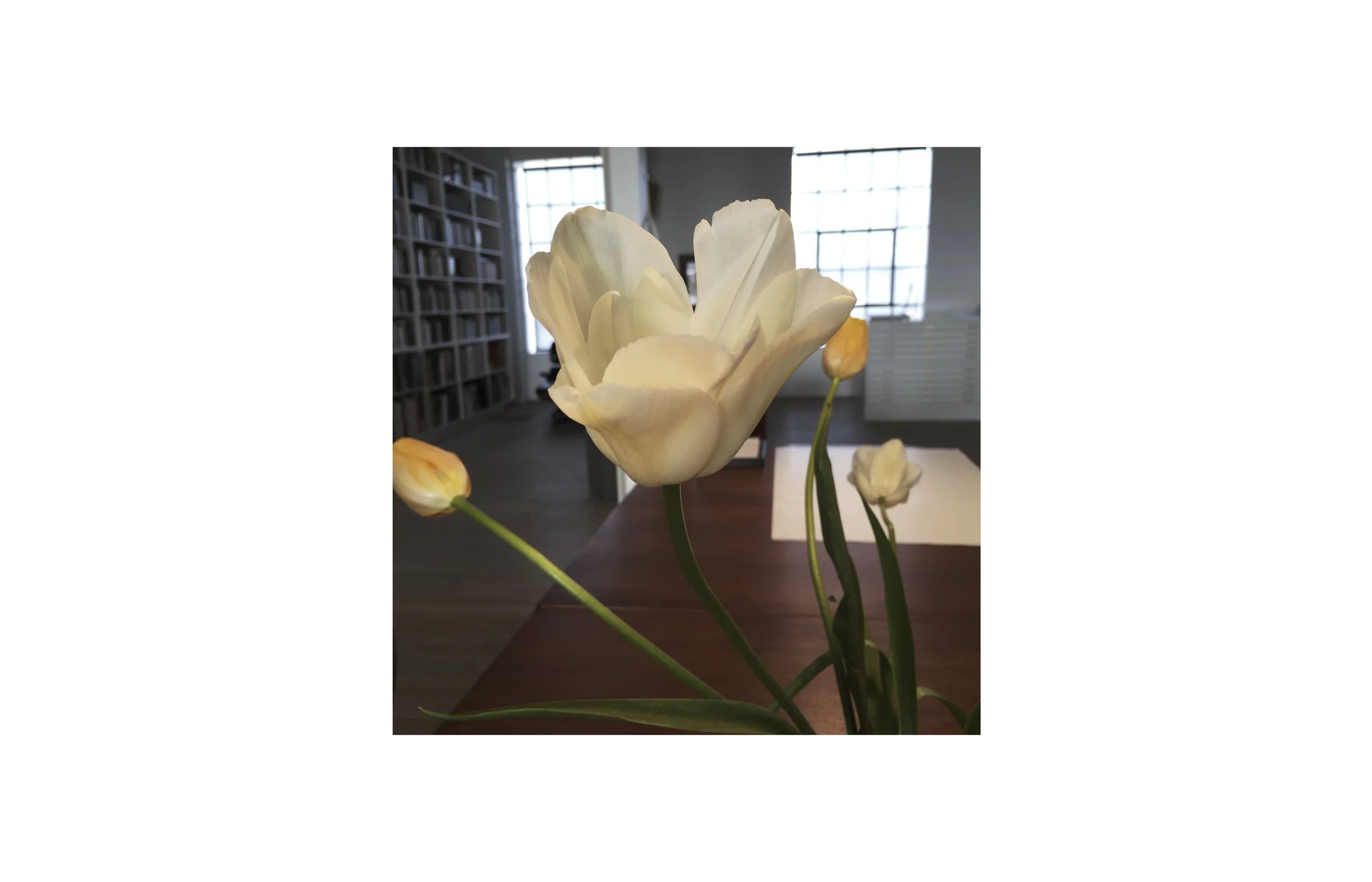 XIII pg 6 resize.jpg