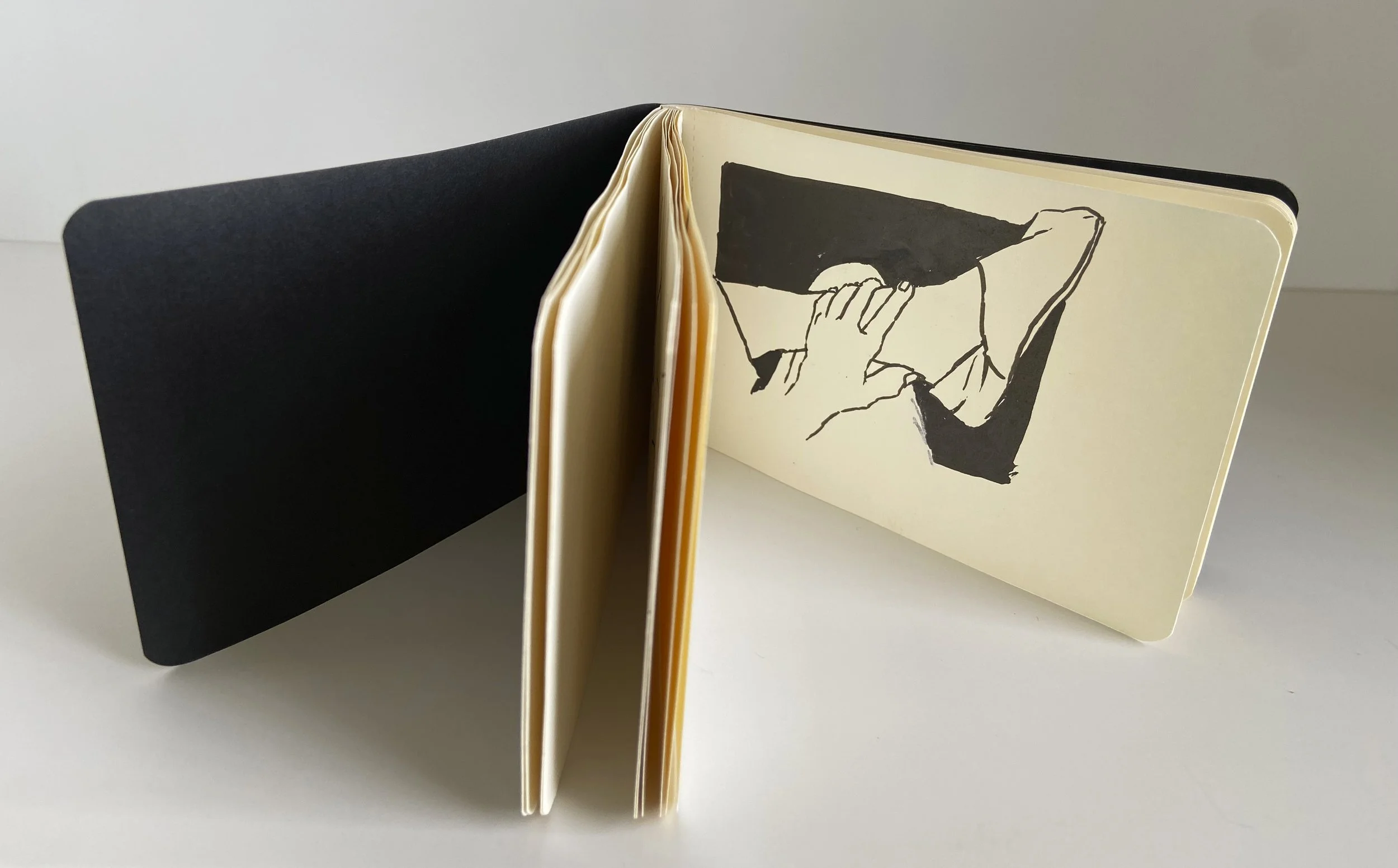 books, artist books, artist made books, ameli handmade, editioned books, process, making, accordion books, ditta baron hoeber, philadelphia artist, artist blog, drawing, sumi ink, moleskin