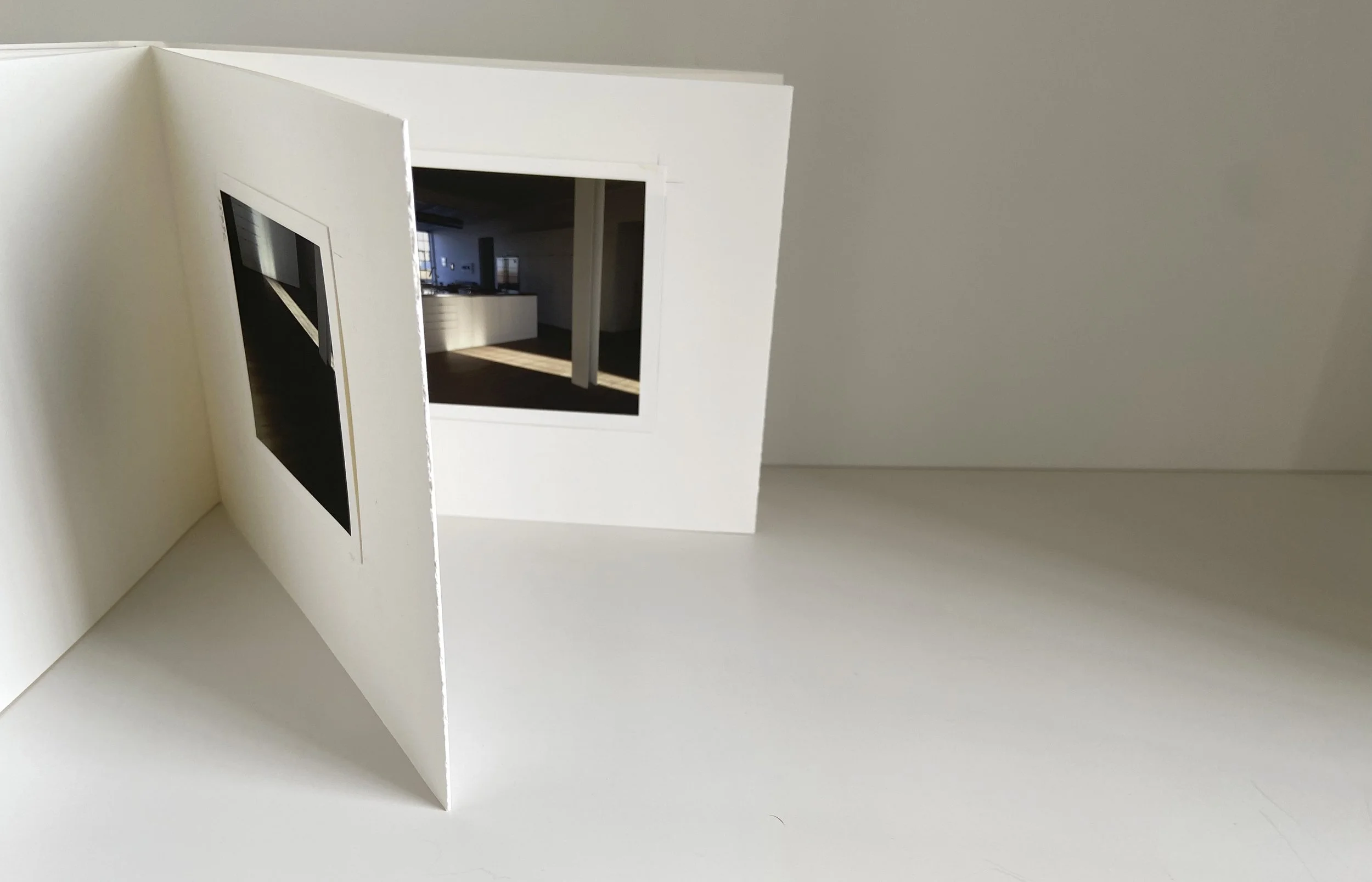 books, artist books, artist made books, handmade, editioned books, process, making, accordion books, ditta baron hoeber, philadelphia artist, 200 books and, artist blog, photographic sequence, photography, inscapes