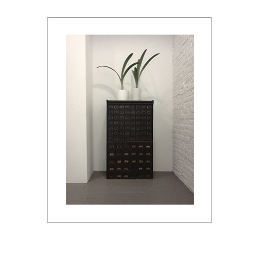 Tofani  •  Third Floor