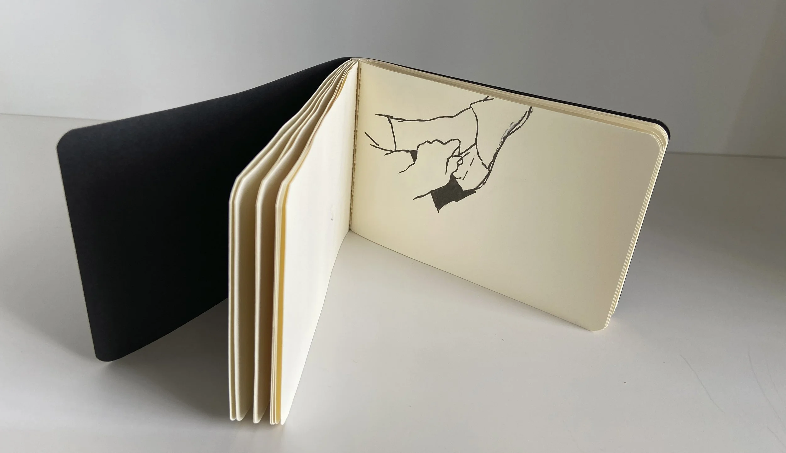 books, artist books, artist made books, ameli handmade, editioned books, process, making, accordion books, ditta baron hoeber, philadelphia artist, artist blog, drawing, sumi ink, moleskin