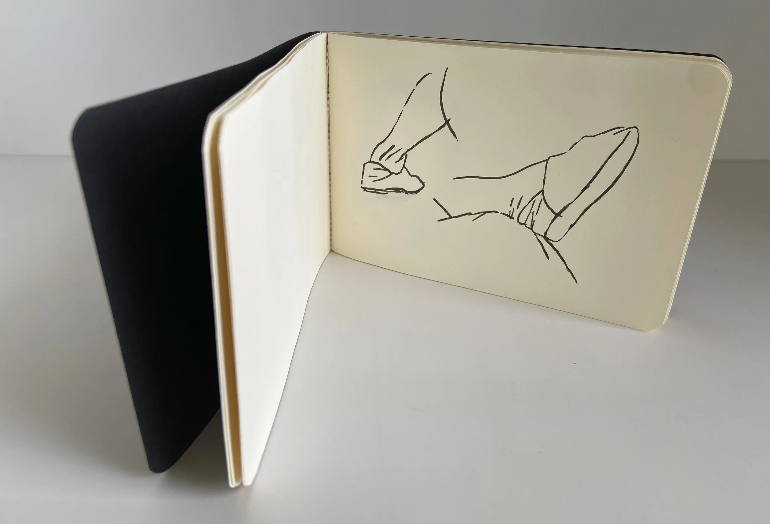books, artist books, artist made books, ameli handmade, editioned books, process, making, accordion books, ditta baron hoeber, philadelphia artist, artist blog, drawing, sumi ink, moleskin