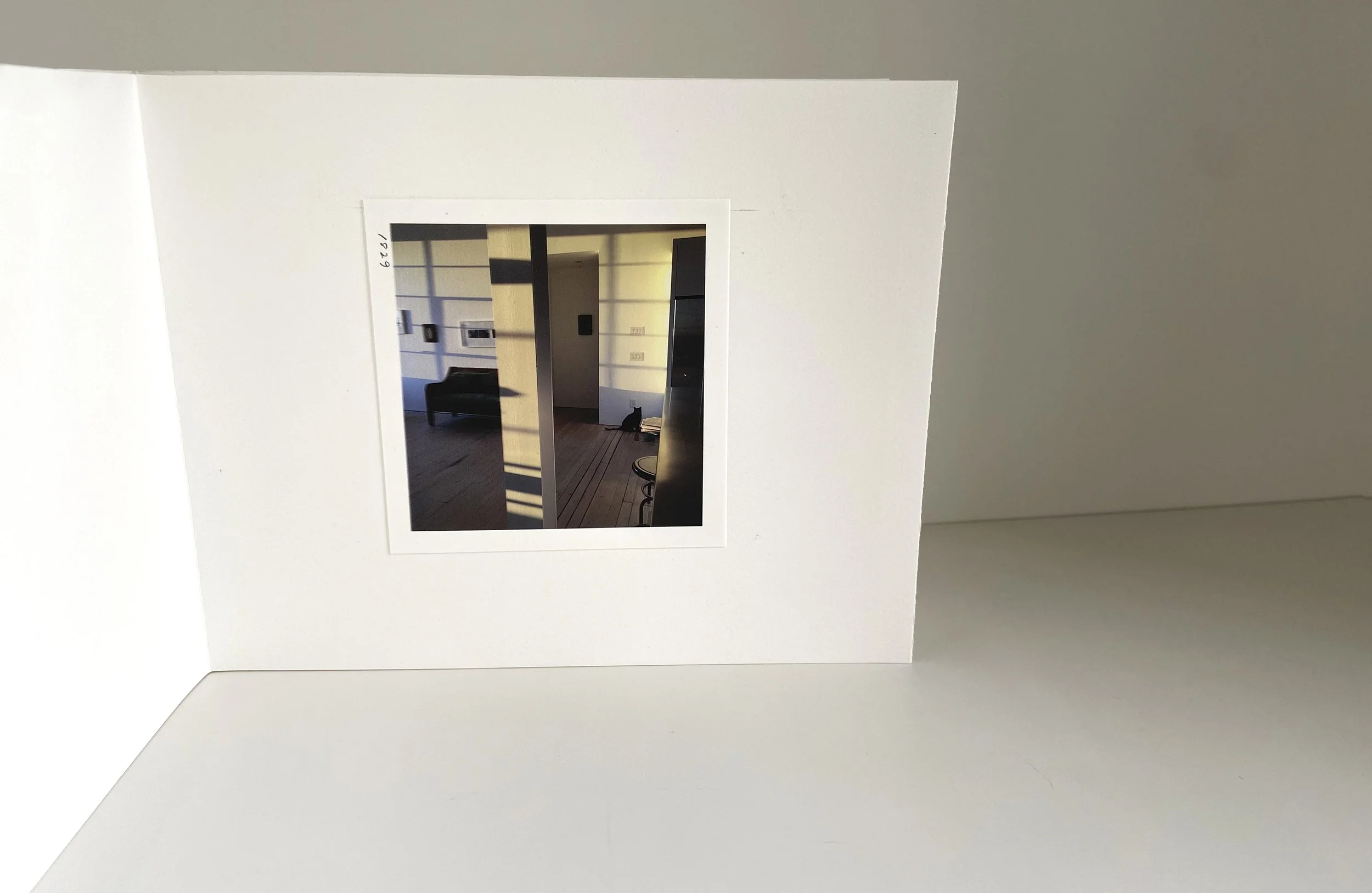 books, artist books, artist made books, handmade, editioned books, process, making, accordion books, ditta baron hoeber, philadelphia artist, 200 books and, artist blog, photographic sequence, photography, inscapes