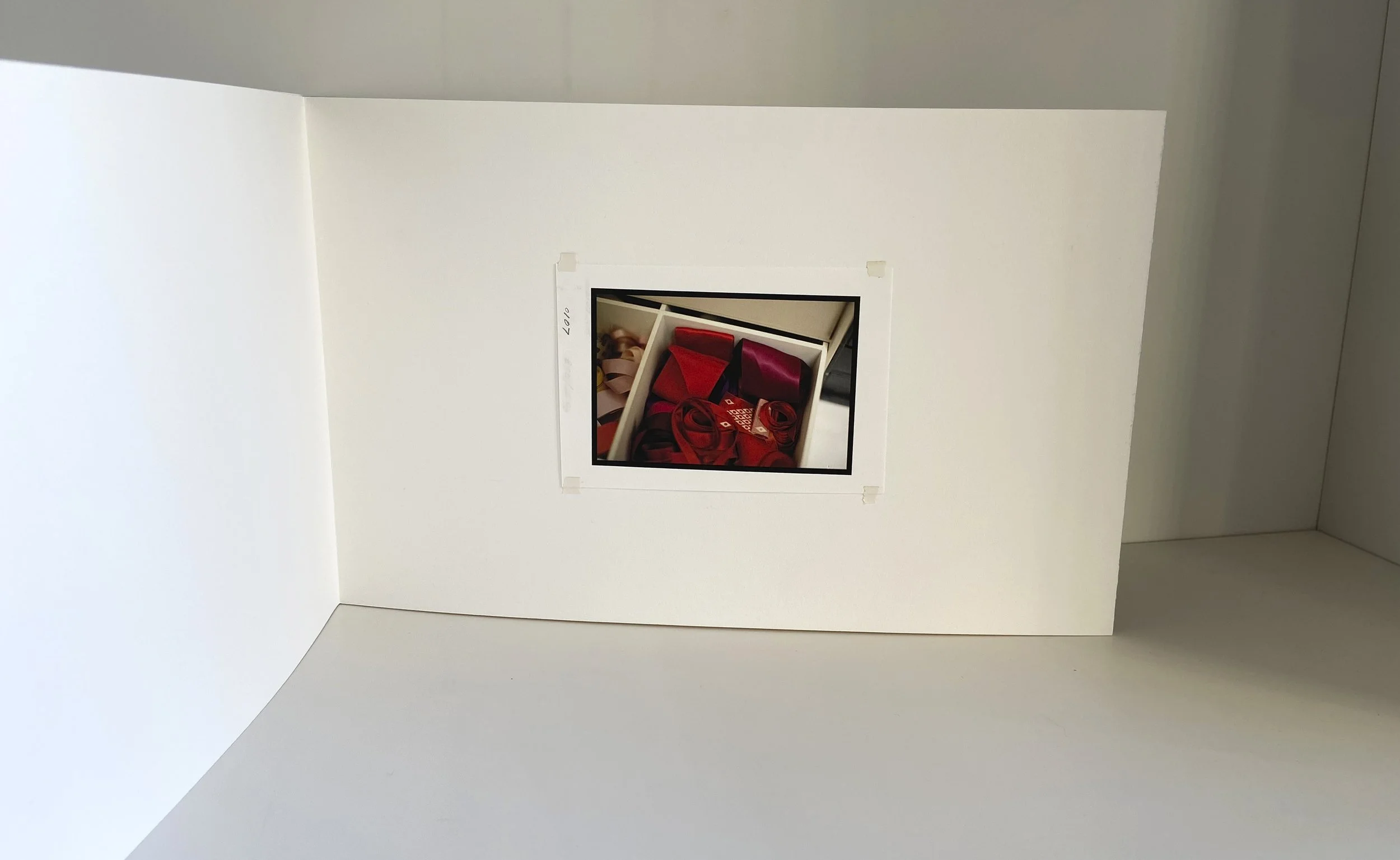 books, artist books, artist made books, handmade, editioned books, process, making, accordion books, ditta baron hoeber, philadelphia artist, 200 books and, artist blog, photographic sequence, tofani, photography