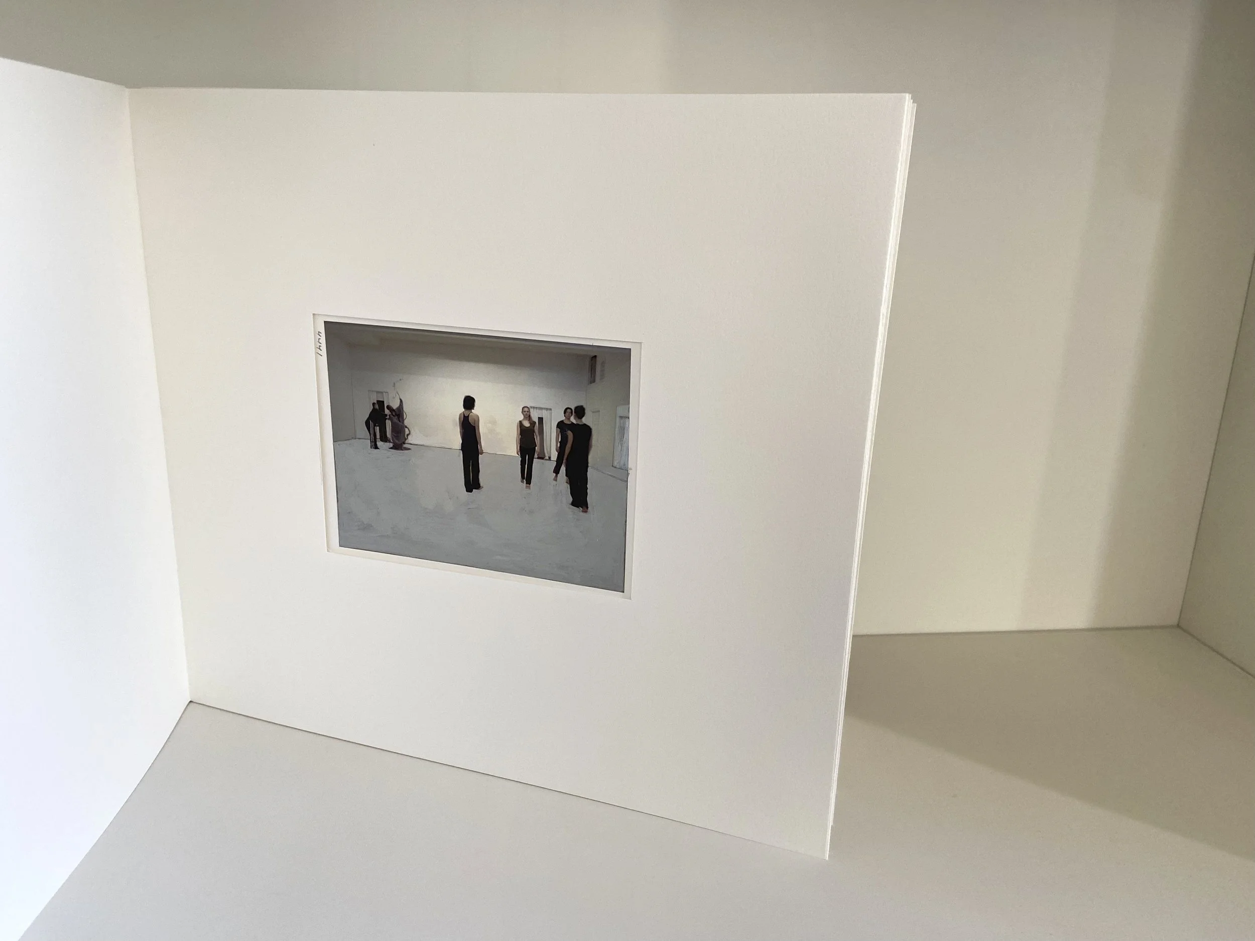 books, artist books, artist made books, handmade, editioned books, process, making, accordion books, ditta baron hoeber, philadelphia artist, 200 books and, artist blog, photographic sequence, photography, painted photographs, gouache, KYL, dance