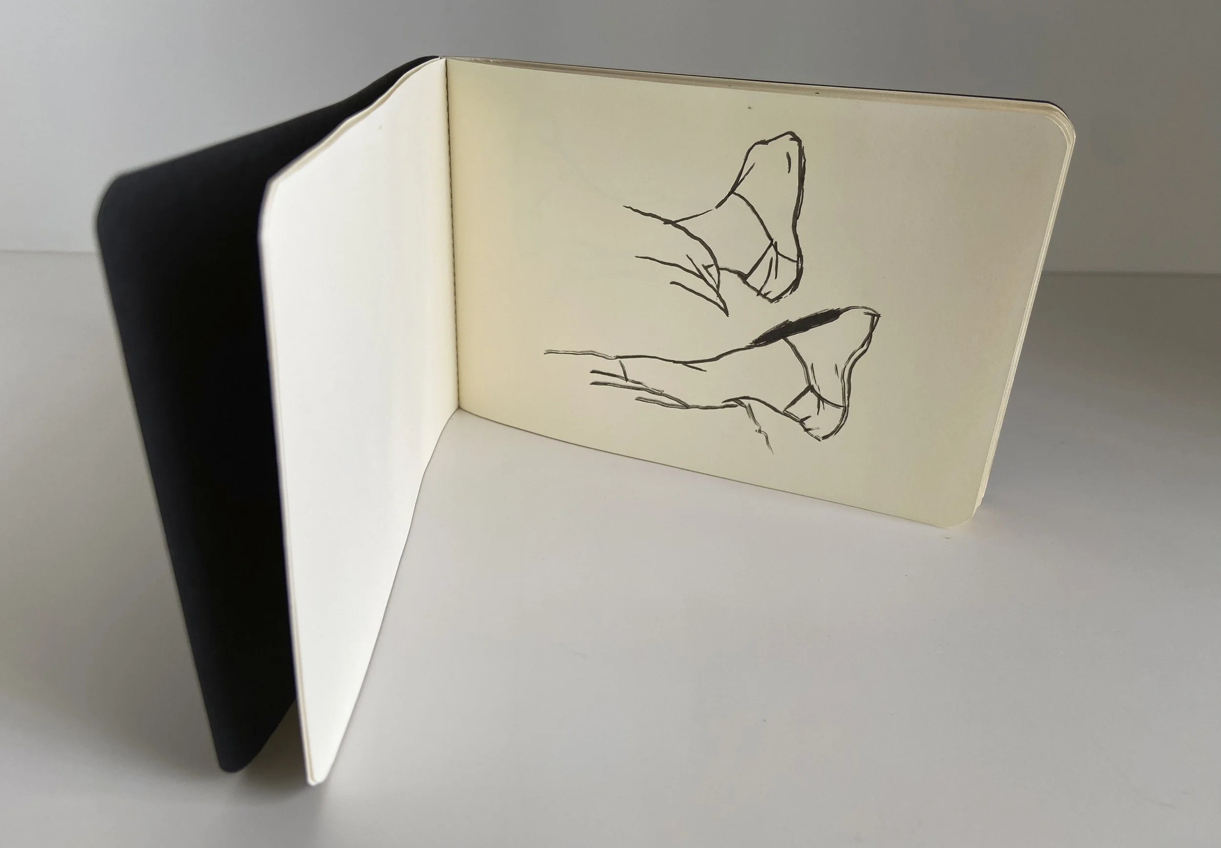 books, artist books, artist made books, ameli handmade, editioned books, process, making, accordion books, ditta baron hoeber, philadelphia artist, artist blog, drawing, sumi ink, moleskin