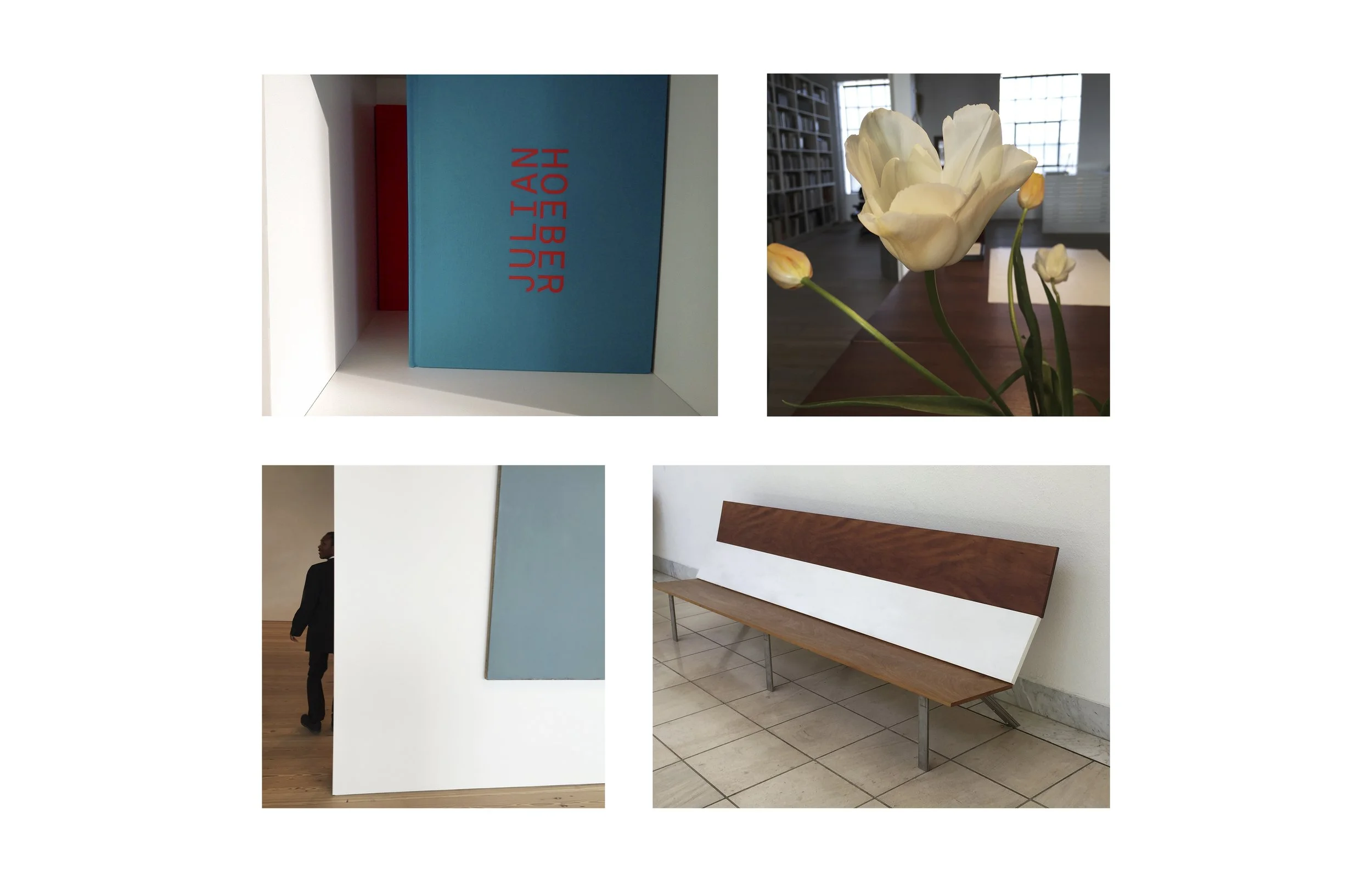 interior, interior space, interior object, still life, photograph, handmade book sculpture, photographic sequence, portrait, julian hoeber, tulip, flower, philadelphia