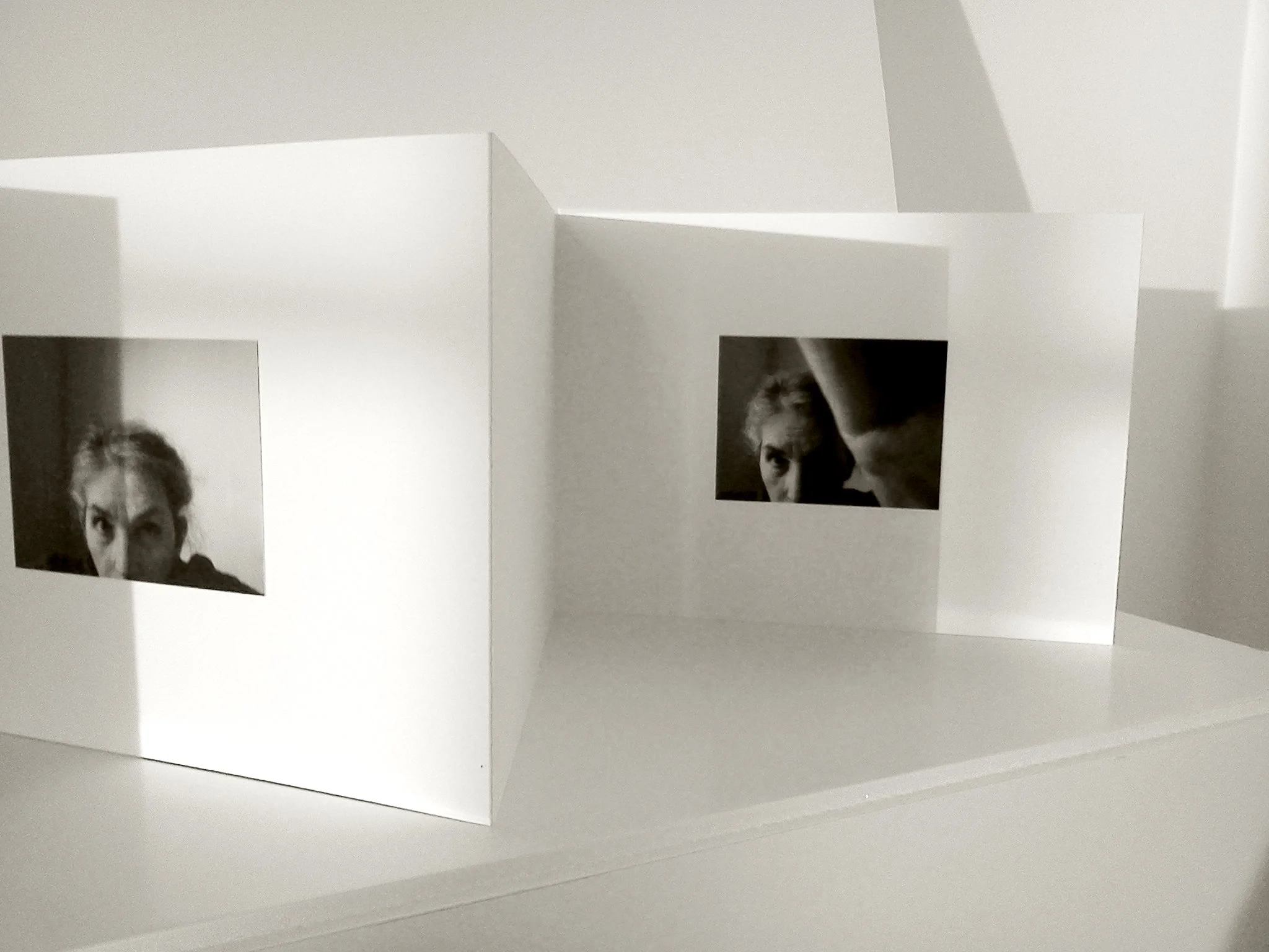 book, artist book, artist made book, handmade book, process, accordion book, photography, photo sequence, ditta baron hoeber, philadelphia artist, self portrait