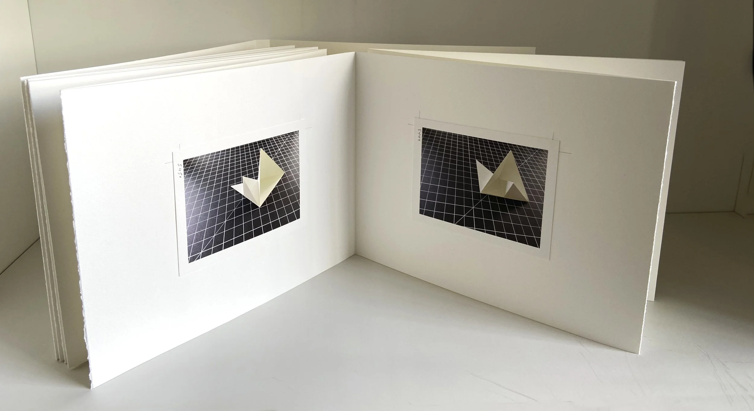 books, artist books, artist made books, handmade, editioned books, process, making, accordion books, ditta baron hoeber, philadelphia artist, 200 books and, artist blog, photographic sequence, photography, folded paper, paper art