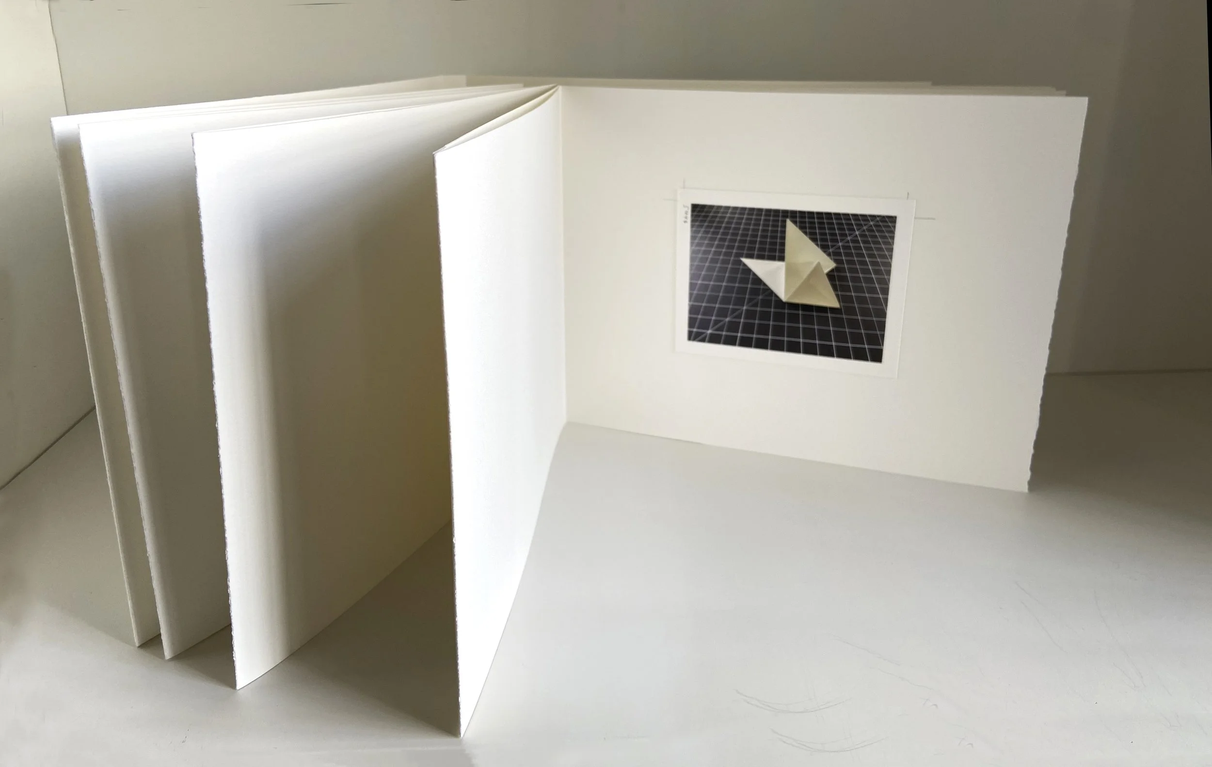 books, artist books, artist made books, handmade, editioned books, process, making, accordion books, ditta baron hoeber, philadelphia artist, 200 books and, artist blog, photographic sequence, photography, folded paper, paper art