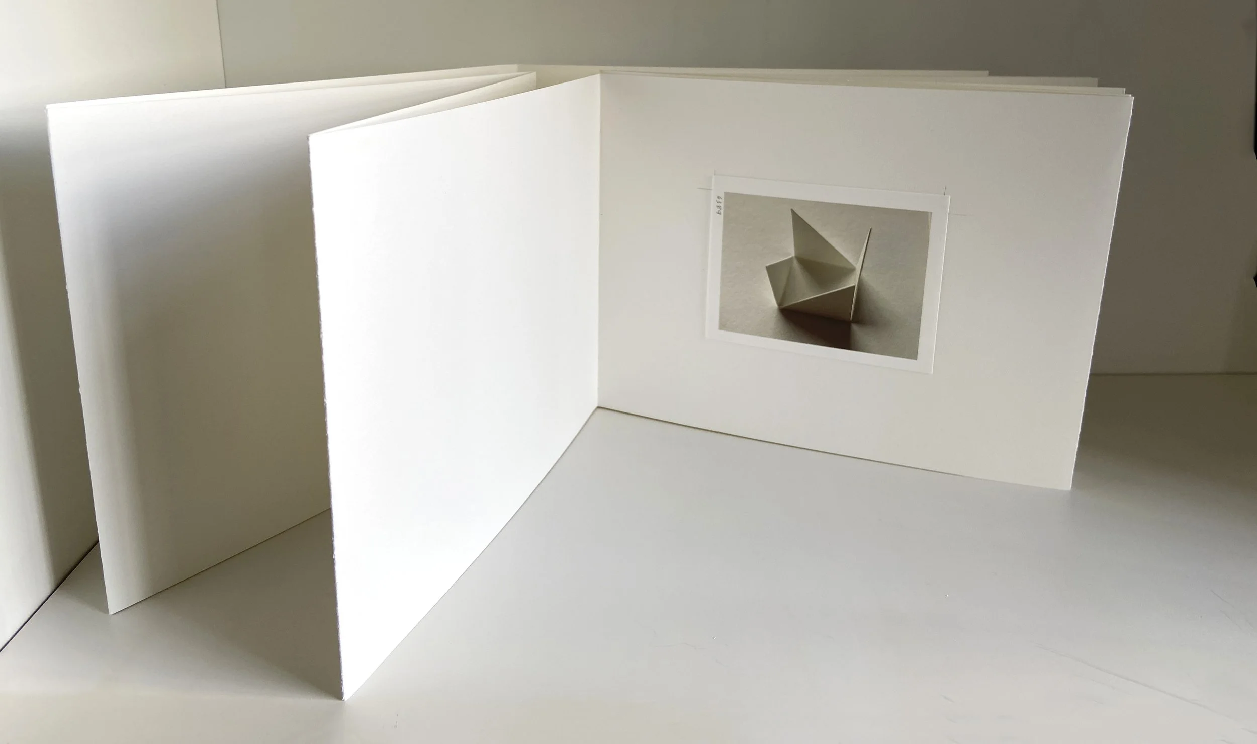 books, artist books, artist made books, handmade, editioned books, process, making, accordion books, ditta baron hoeber, philadelphia artist, 200 books and, artist blog, photographic sequence, photography, folded paper, paper art