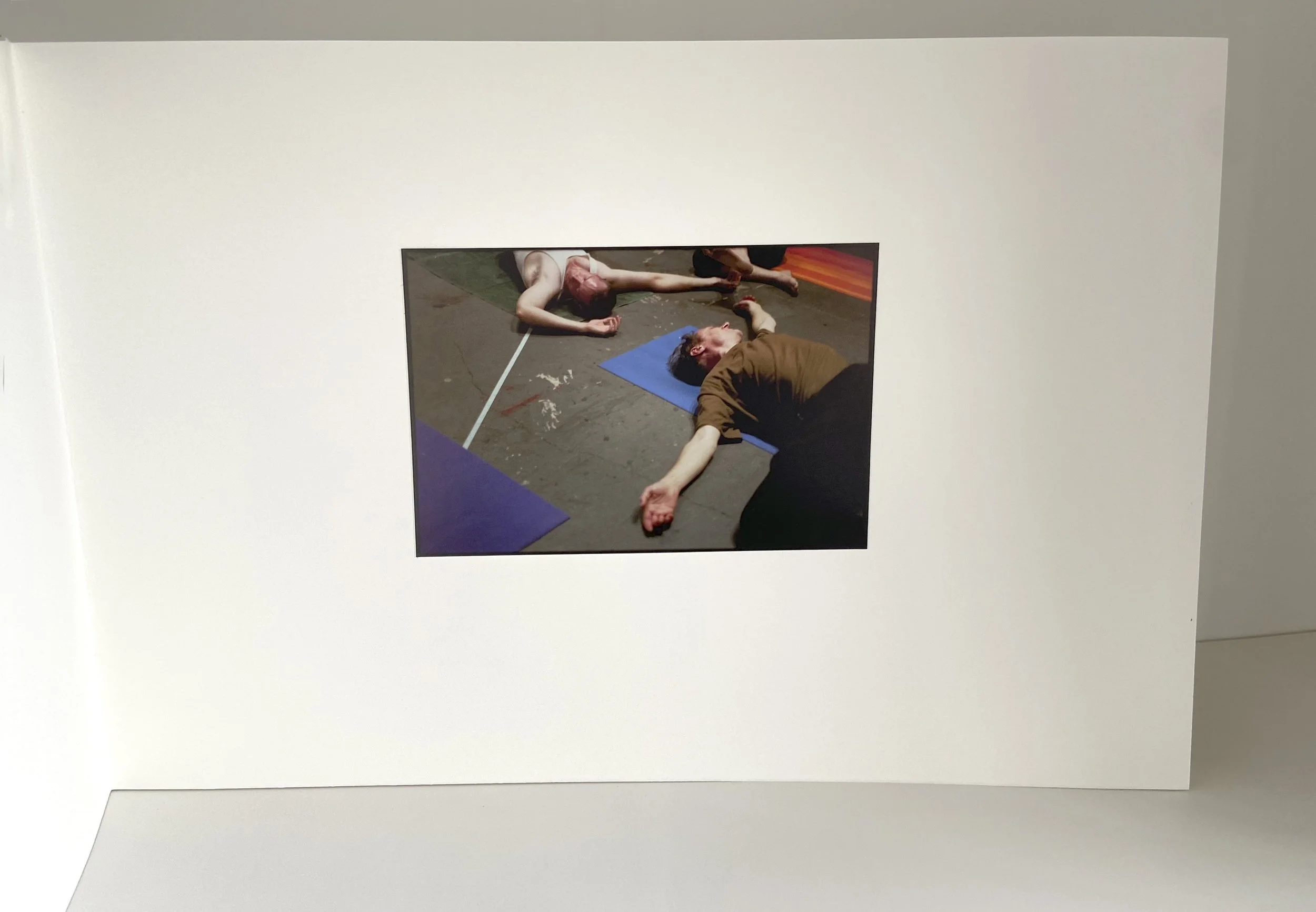 books, artist books, artist made books, ameli handmade, editioned books, process, making, accordion books, ditta baron hoeber, philadelphia artist, artist blog, 200 books and, photographic sequence, photography, some parts