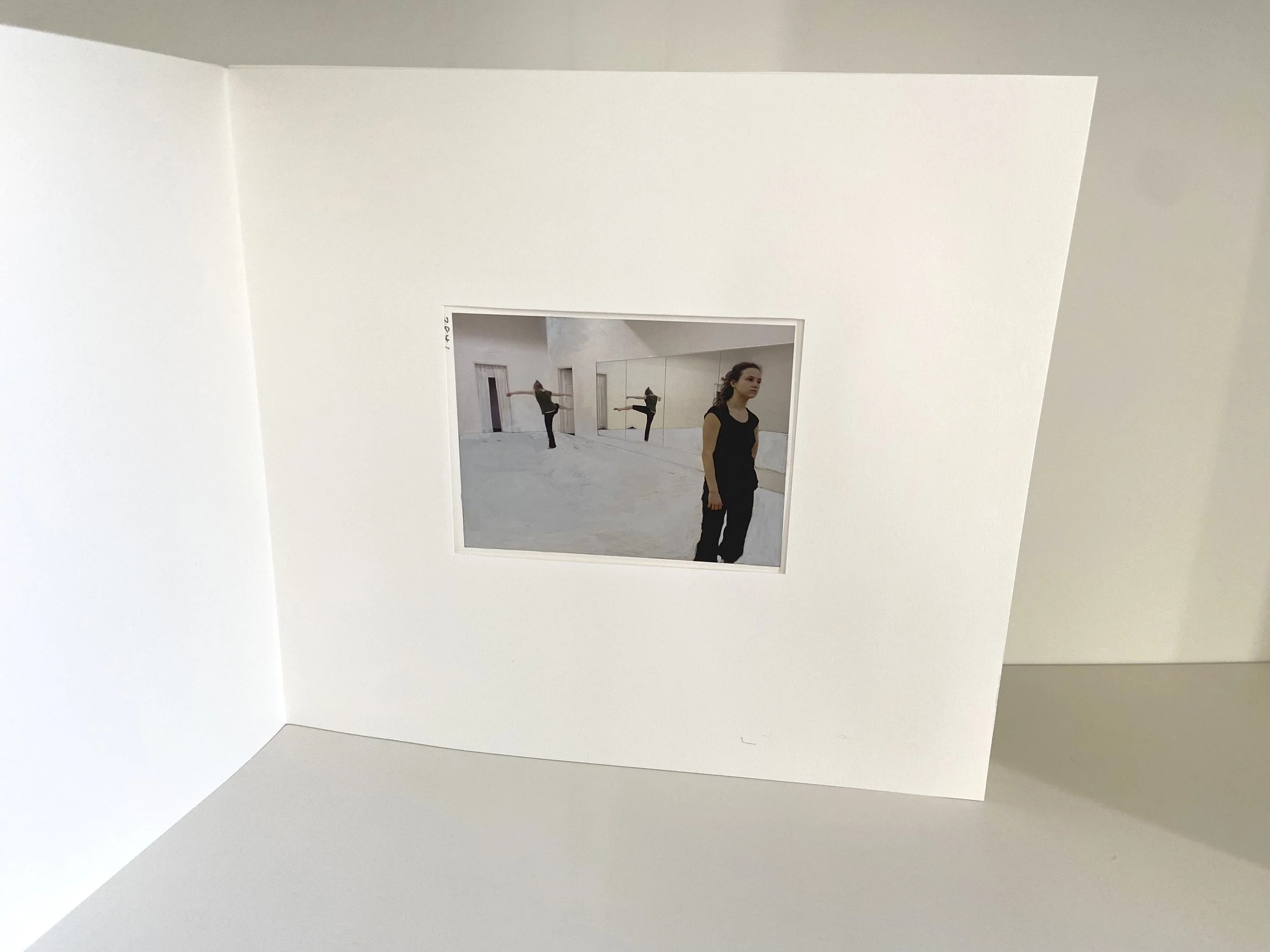 books, artist books, artist made books, handmade, editioned books, process, making, accordion books, ditta baron hoeber, philadelphia artist, 200 books and, artist blog, photographic sequence, photography, painted photographs, gouache, KYL, dance