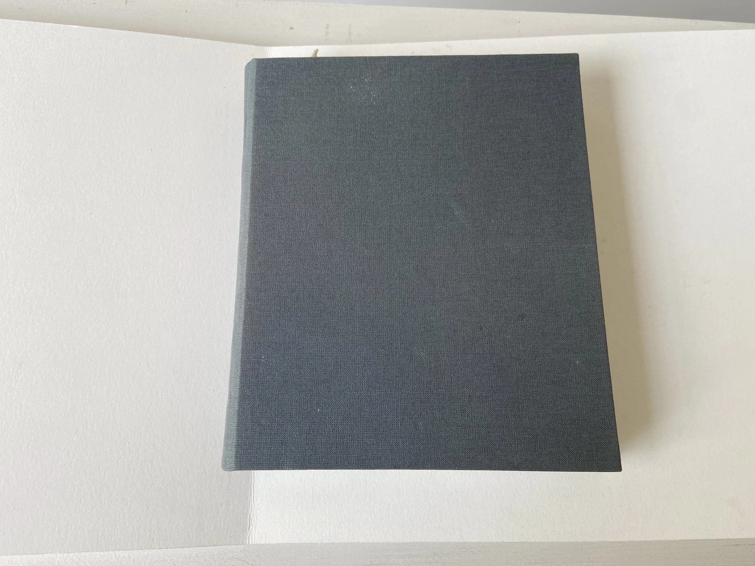 books, artist books, artist made books, handmade, editioned books, process, making, accordion books, ditta baron hoeber, philadelphia artist, 200 books and, artist blog, cookbook, recipes, artist cookbook, handmade cookbook