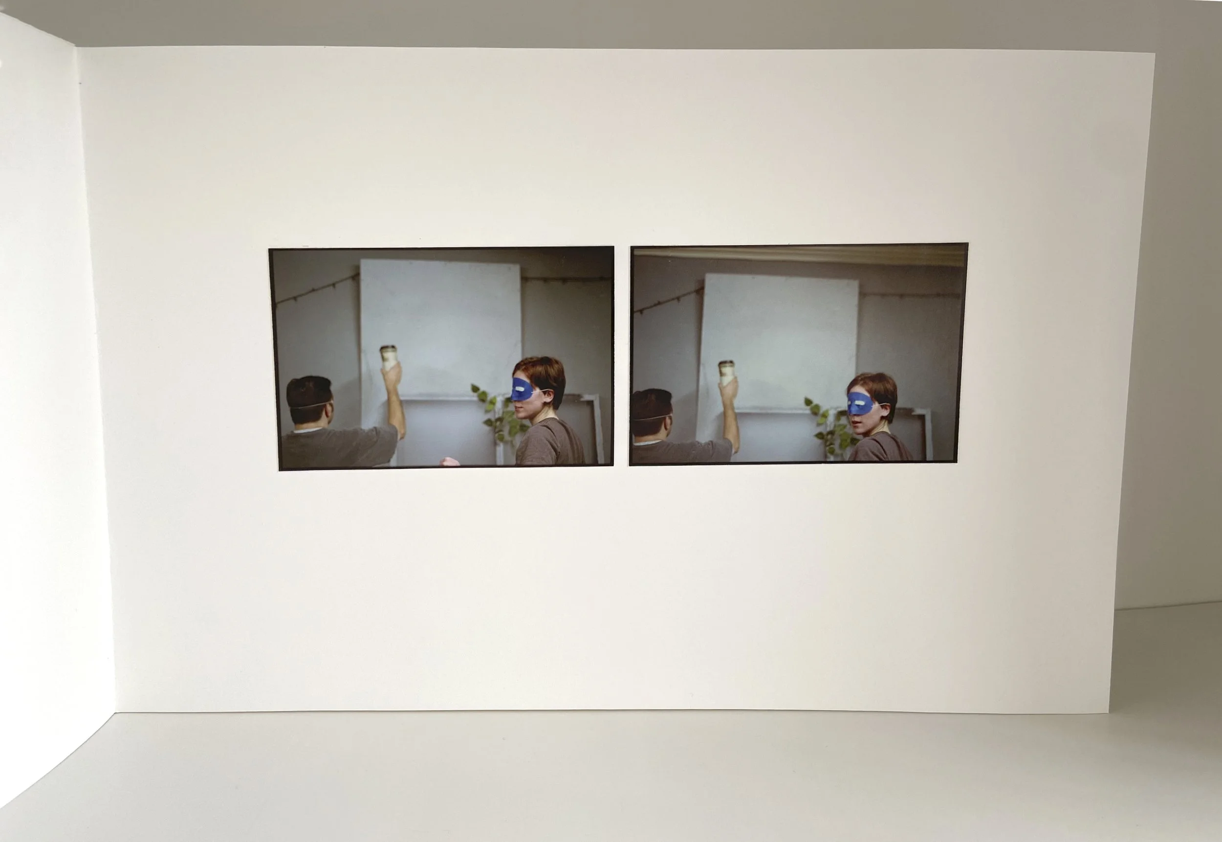 books, artist books, artist made books, ameli handmade, editioned books, process, making, accordion books, ditta baron hoeber, philadelphia artist, artist blog, 200 books and, photographic sequence, photography, some parts