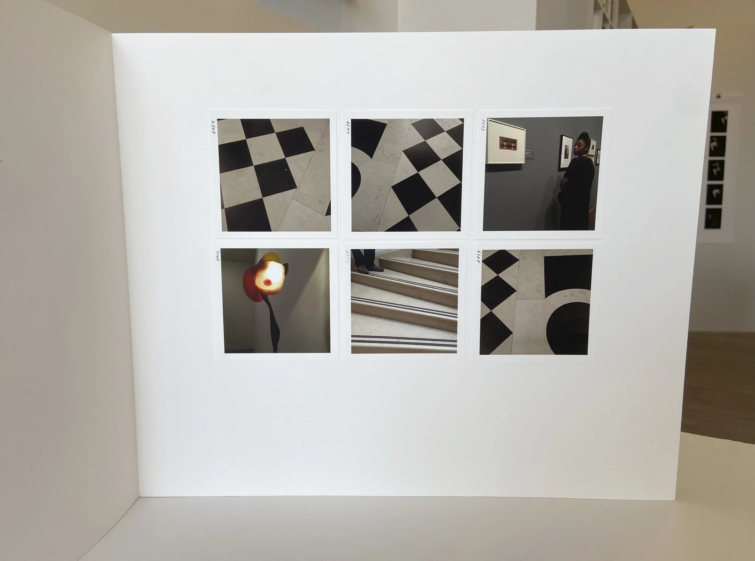 books, artist books, artist made books, ameli handmade, editioned books, process, making, accordion books, ditta baron hoeber, philadelphia artist, artist blog, 200 books and, photographic sequence, photography, ekphrasis, neue gallery, new york city