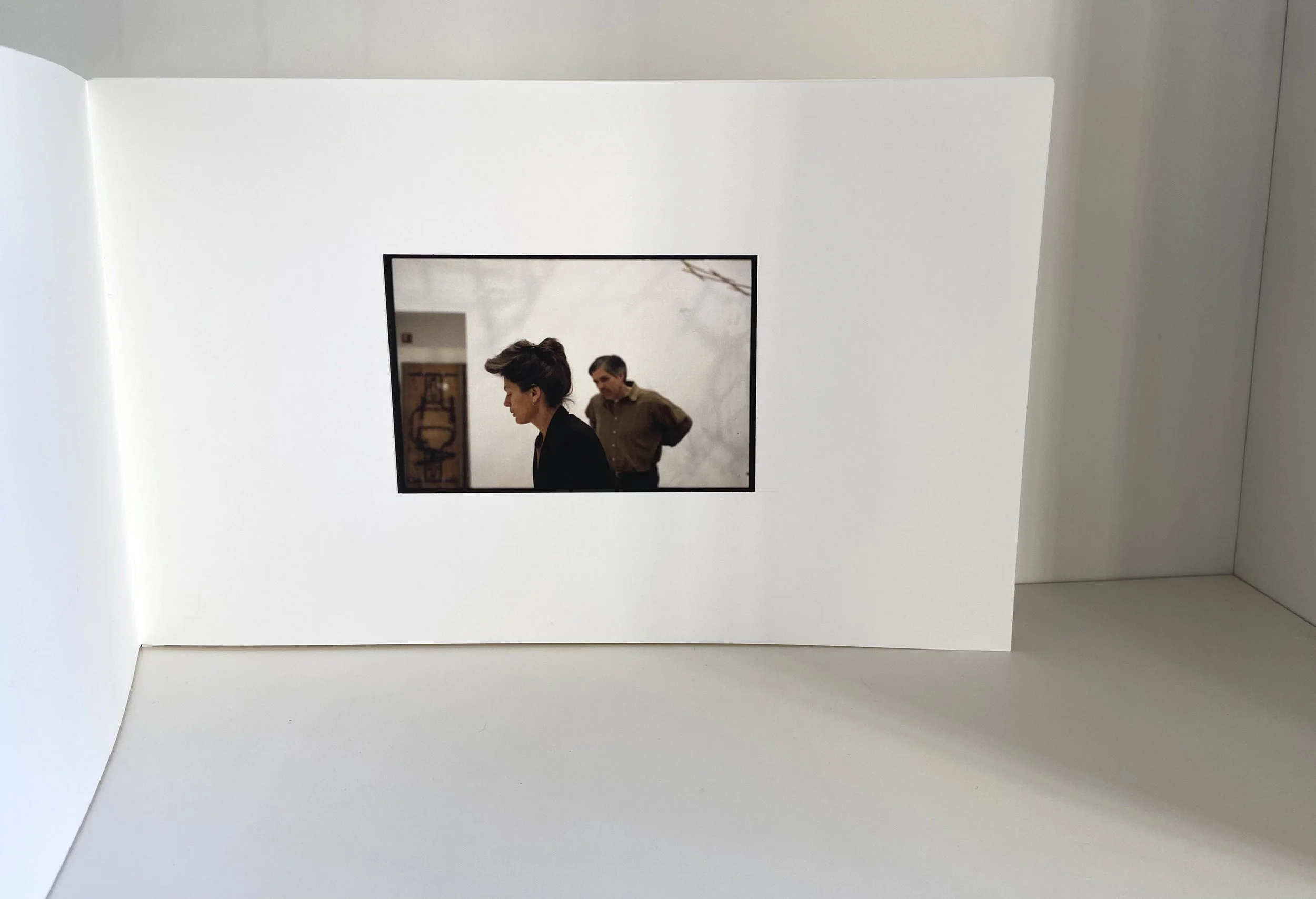 books, artist books, artist made books, handmade, editioned books, process, making, accordion books, ditta baron hoeber, philadelphia artist, anne tyng, ingrid schaffner, ica philadelphia, inhabiting geometry, platonic solids, photographic sequence