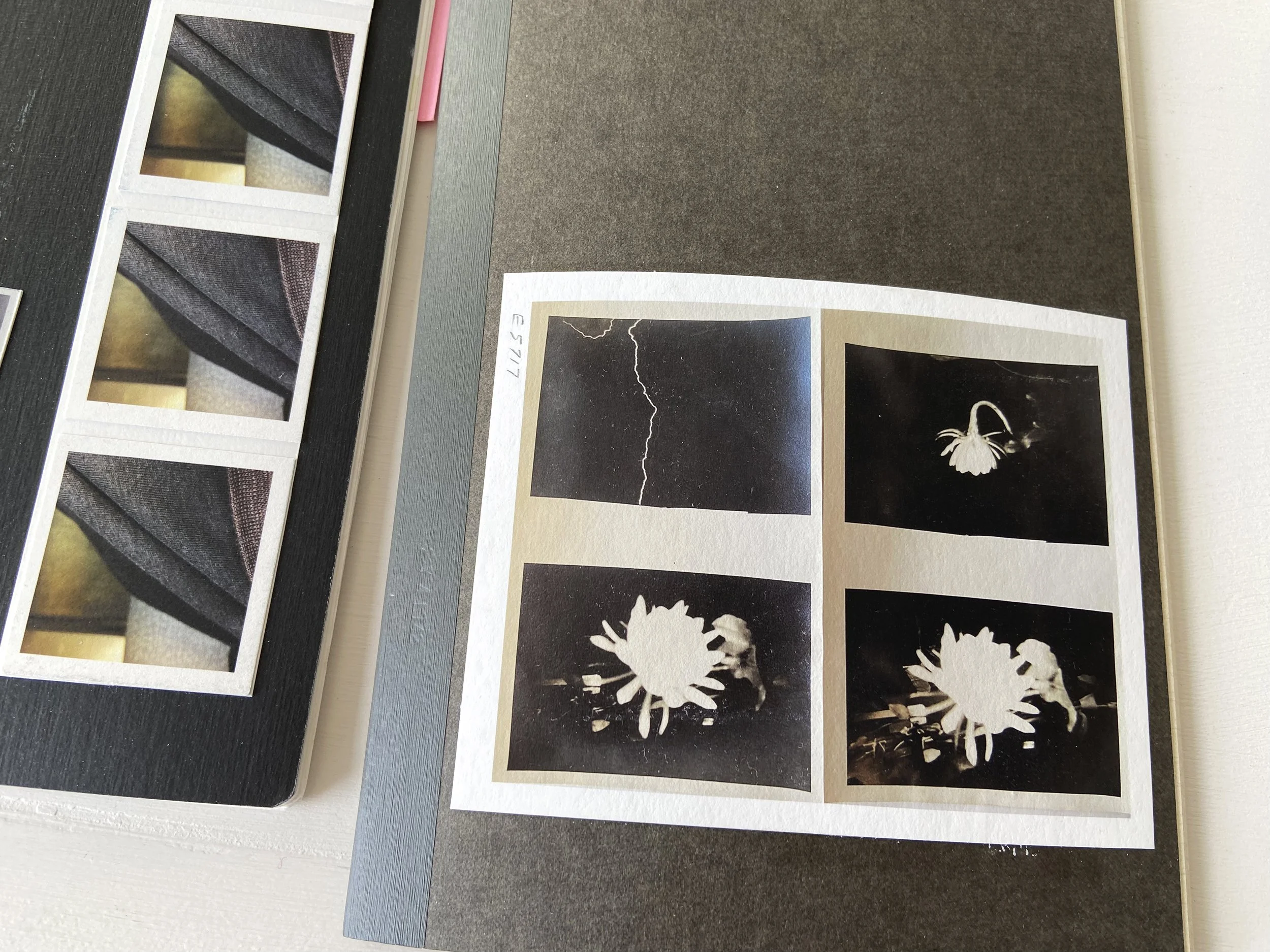 books, artist books, artist made books, handmade, editioned books, process, making, accordion books, ditta baron hoeber, philadelphia artist, 200 books and, artist blog, workbook, sketch, book plans, book covers, moleskin