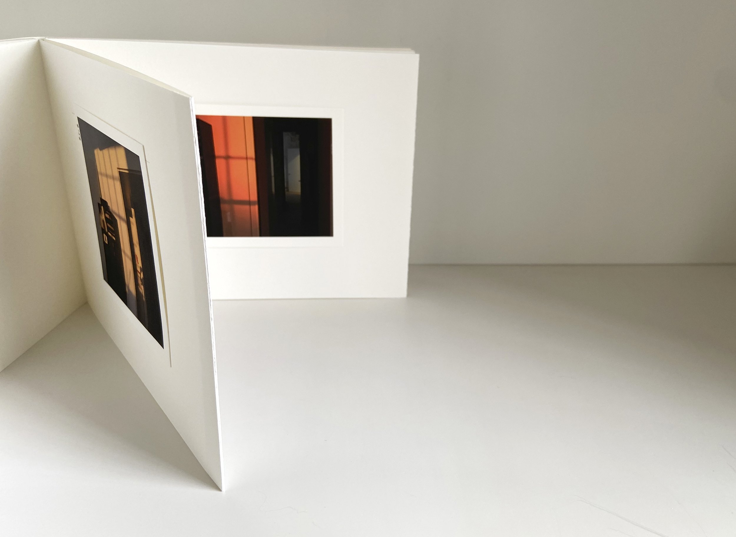 books, artist books, artist made books, handmade, editioned books, process, making, accordion books, ditta baron hoeber, philadelphia artist, 200 books and, artist blog, photographic sequence, photography, inscapes