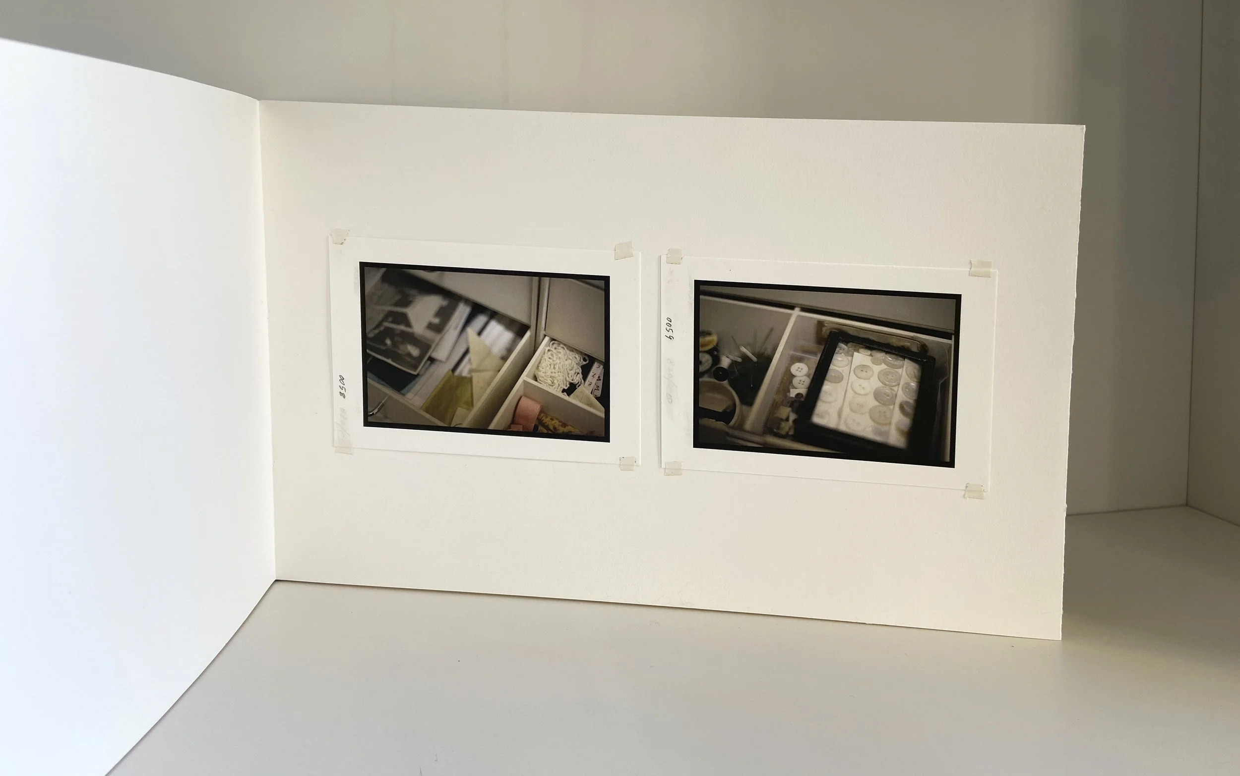 books, artist books, artist made books, handmade, editioned books, process, making, accordion books, ditta baron hoeber, philadelphia artist, 200 books and, artist blog, photographic sequence, tofani, photography