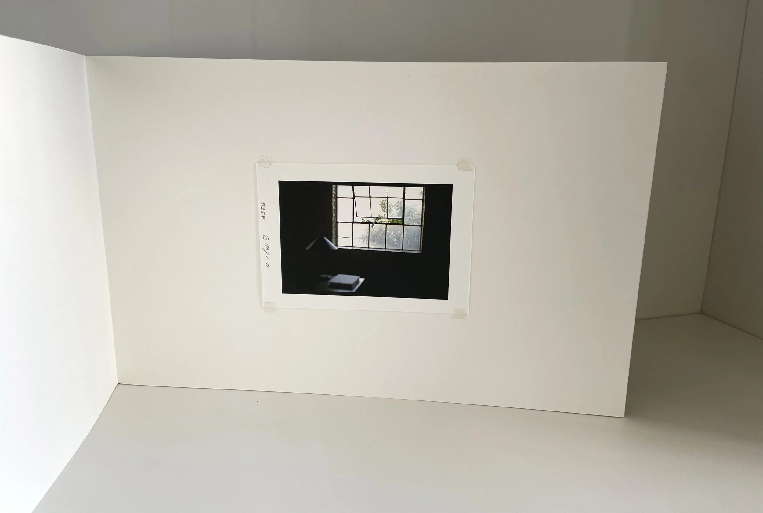 books, artist books, artist made books, handmade, editioned books, process, making, accordion books, ditta baron hoeber, philadelphia artist, 200 books and, artist blog, photographic sequence, tofani, photography