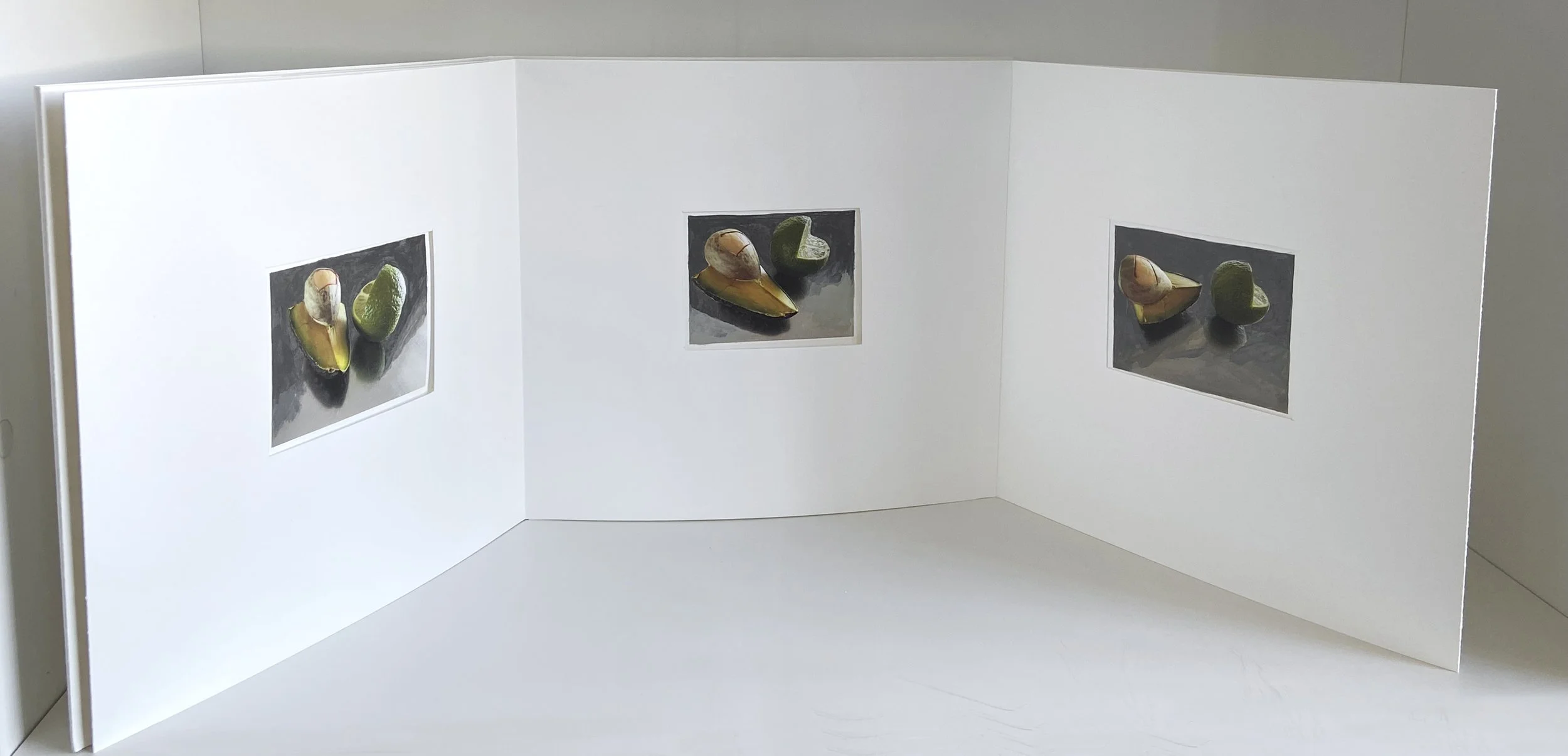 books, artist books, artist made books, handmade, editioned books, process, making, accordion books, ditta baron hoeber, philadelphia artist, 200 books and, artist blog, photographic sequence, photography, painted photographs, gouache, avocado, lime