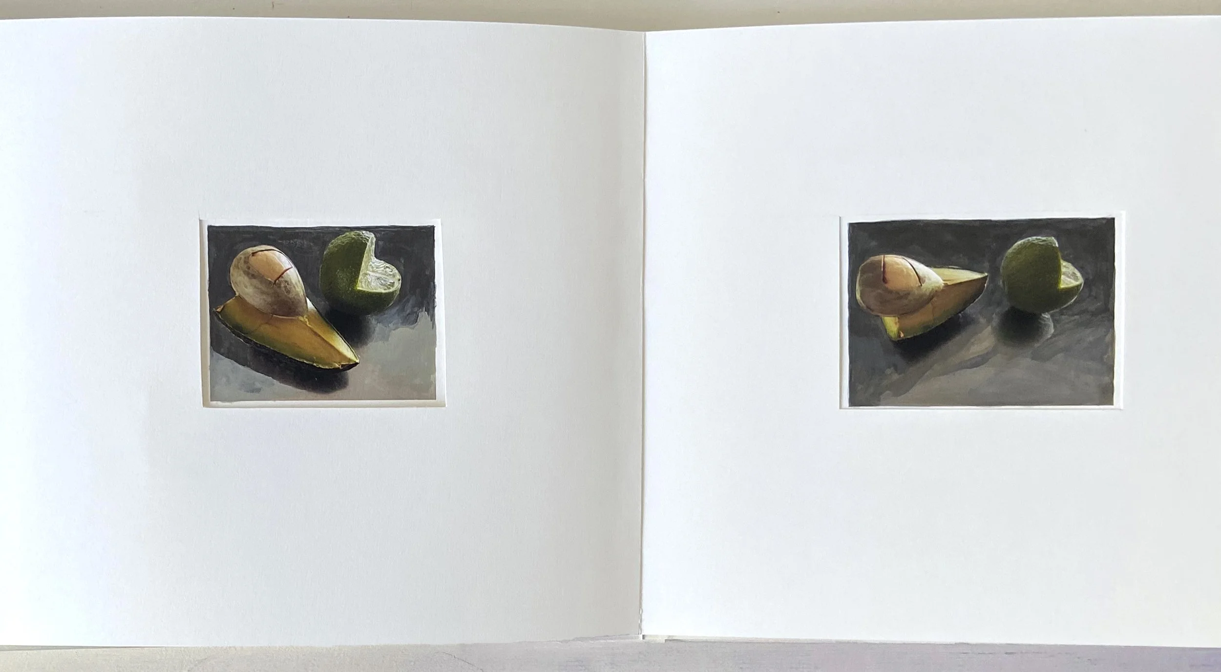 books, artist books, artist made books, handmade, editioned books, process, making, accordion books, ditta baron hoeber, philadelphia artist, 200 books and, artist blog, photographic sequence, photography, painted photographs, gouache, avocado, lime