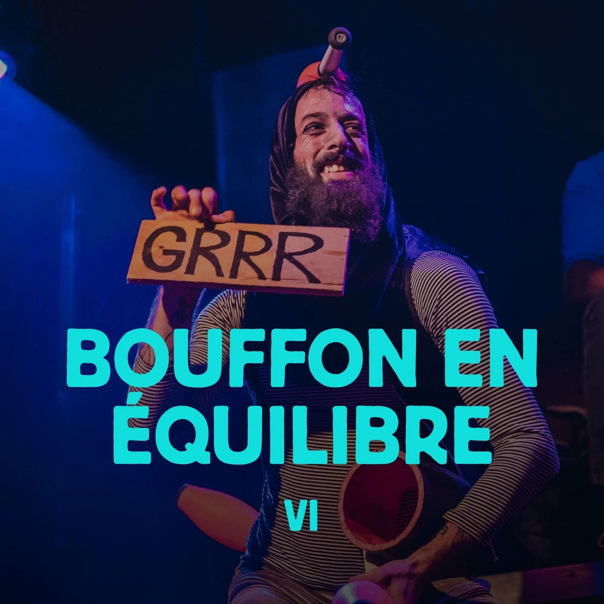 bouffon-en-equilibre-vi