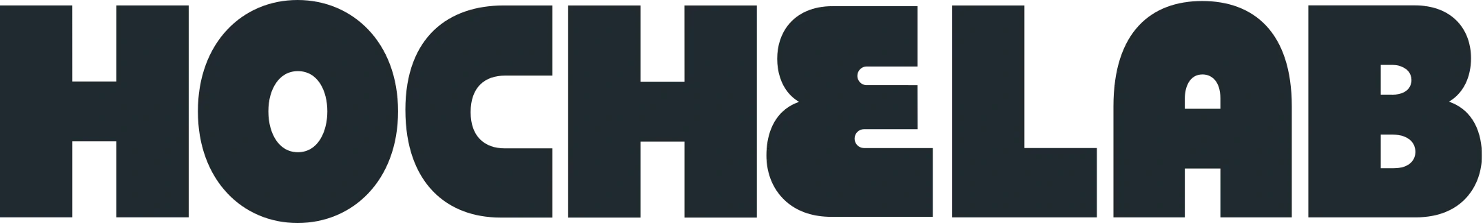 hochelab.webp