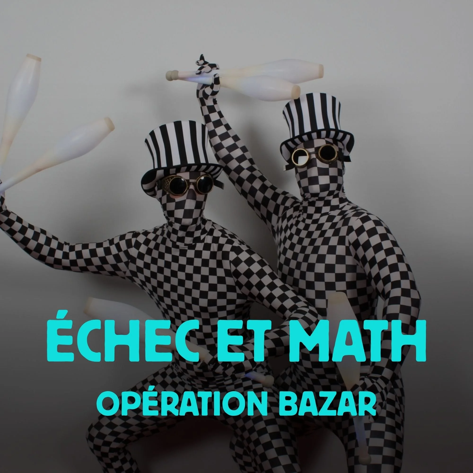 echec-et-math-operation-bazar
