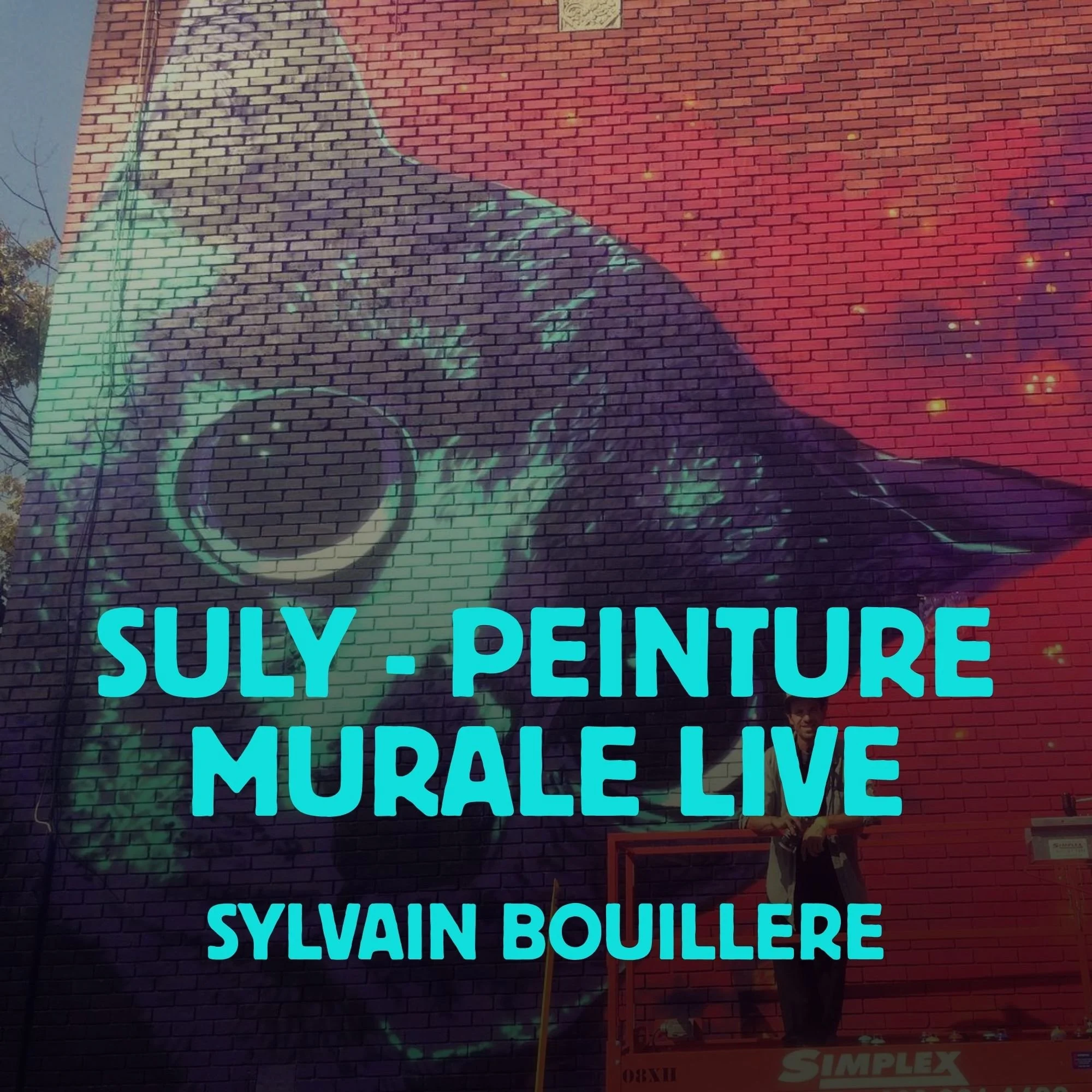 suly-peinture-murale-live-sylvain-bouillere