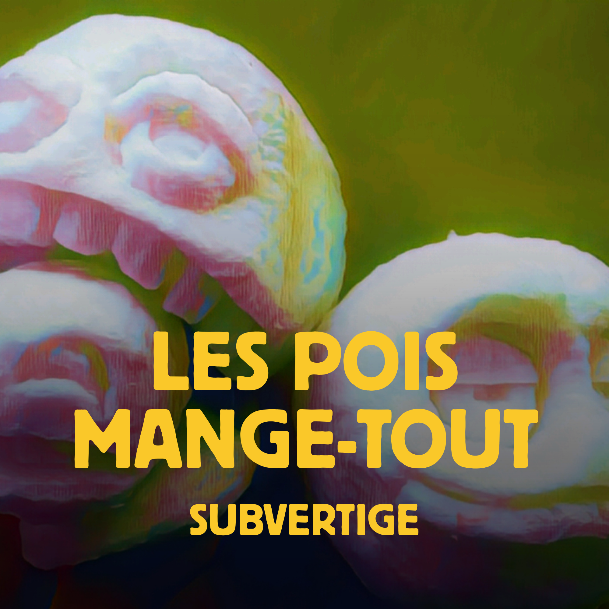 pois-mange-tout-subvertige