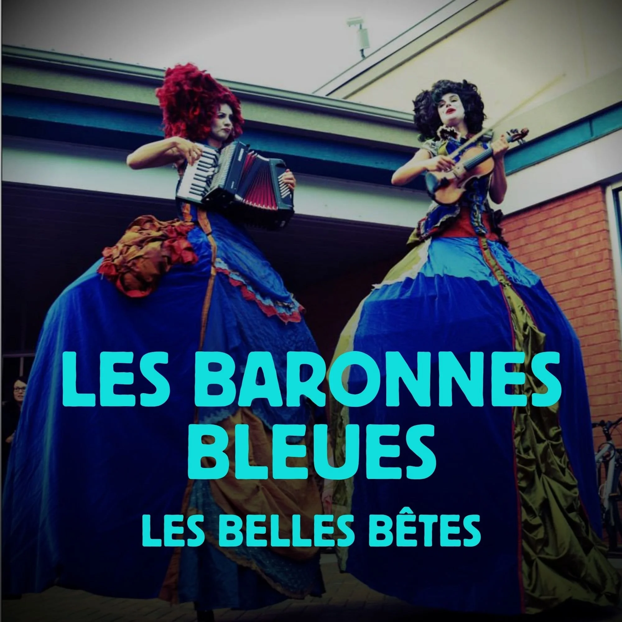baronnes-bleues-belles-betes