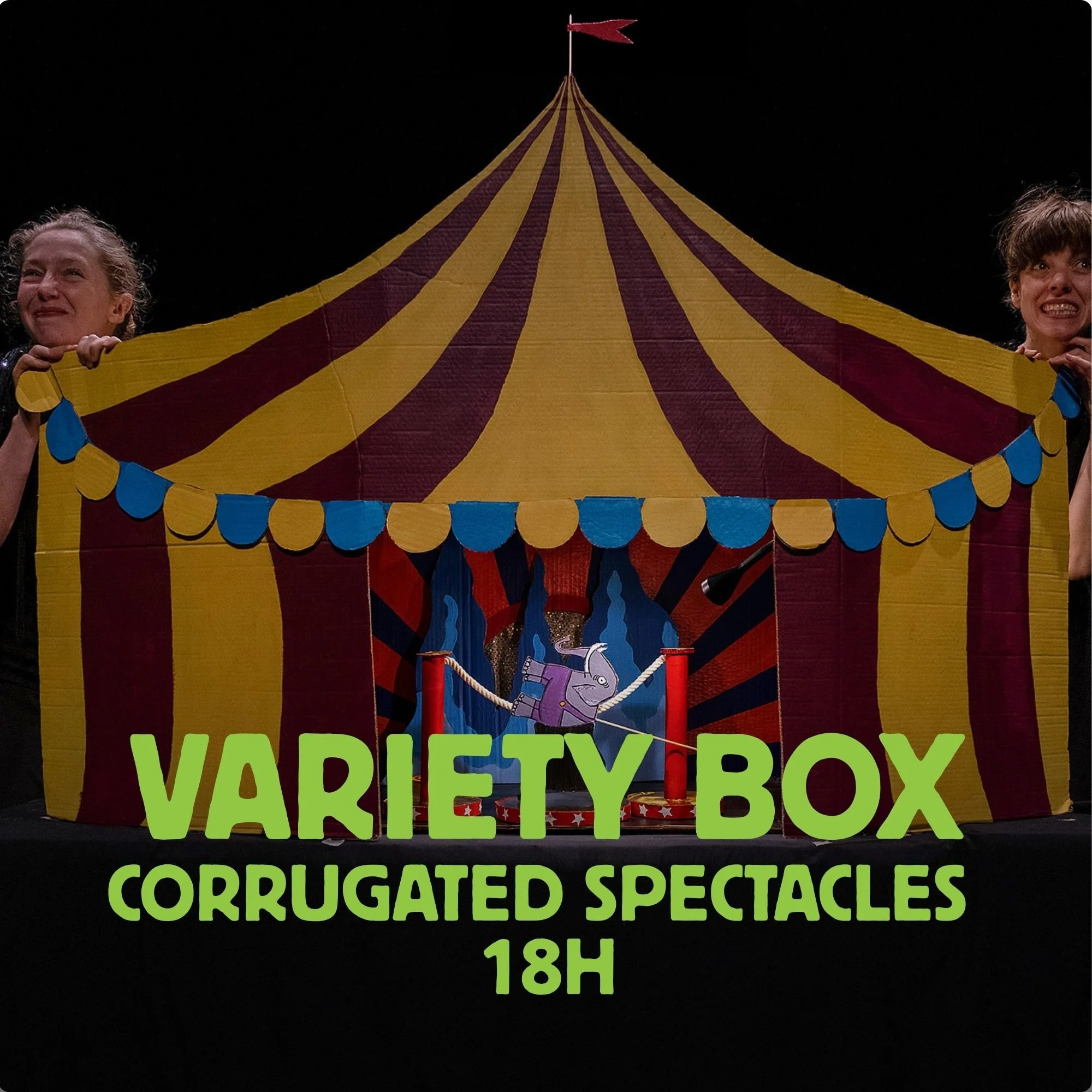 variety-box-corrugated-spectacles