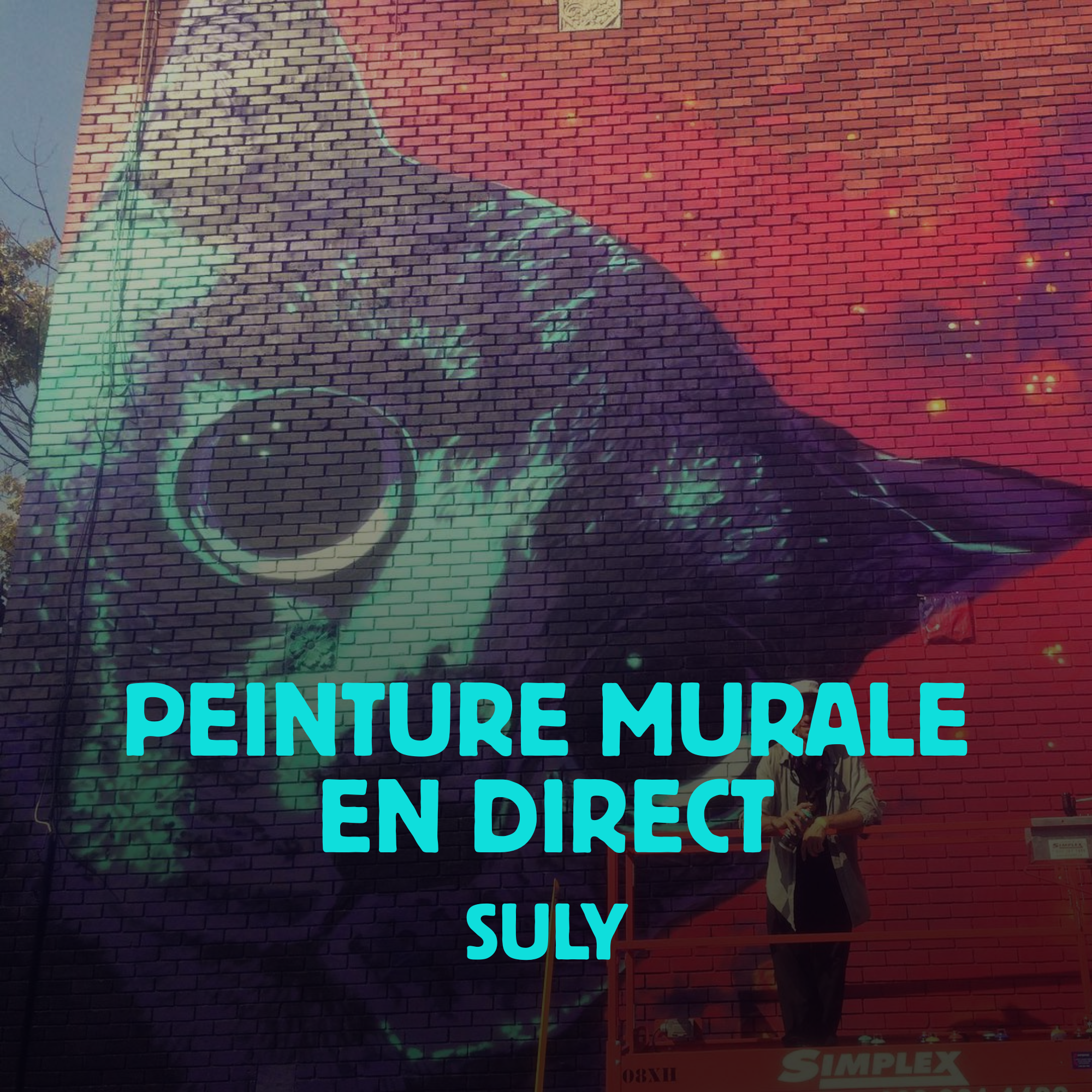 suly-peinture-murale-live-sylvain-bouillere
