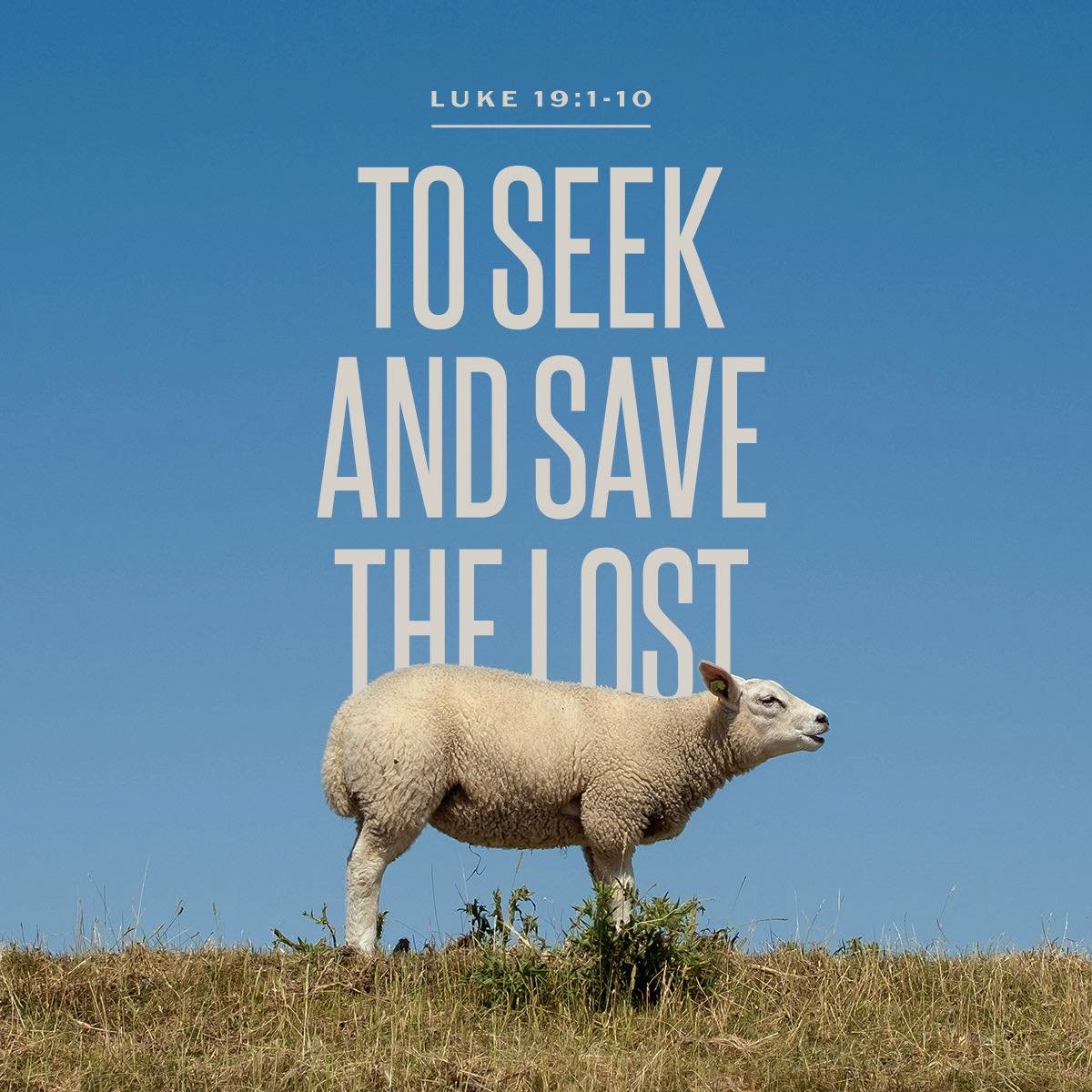 Check out our most recent sermon, To Seek and Save the Lost. Tyler guided us through Luke 19:1-10, discussing the story of Zacchaeus. 

This sermon is available now on Spotify, listen today to discover more about who exactly are the lost and how our 