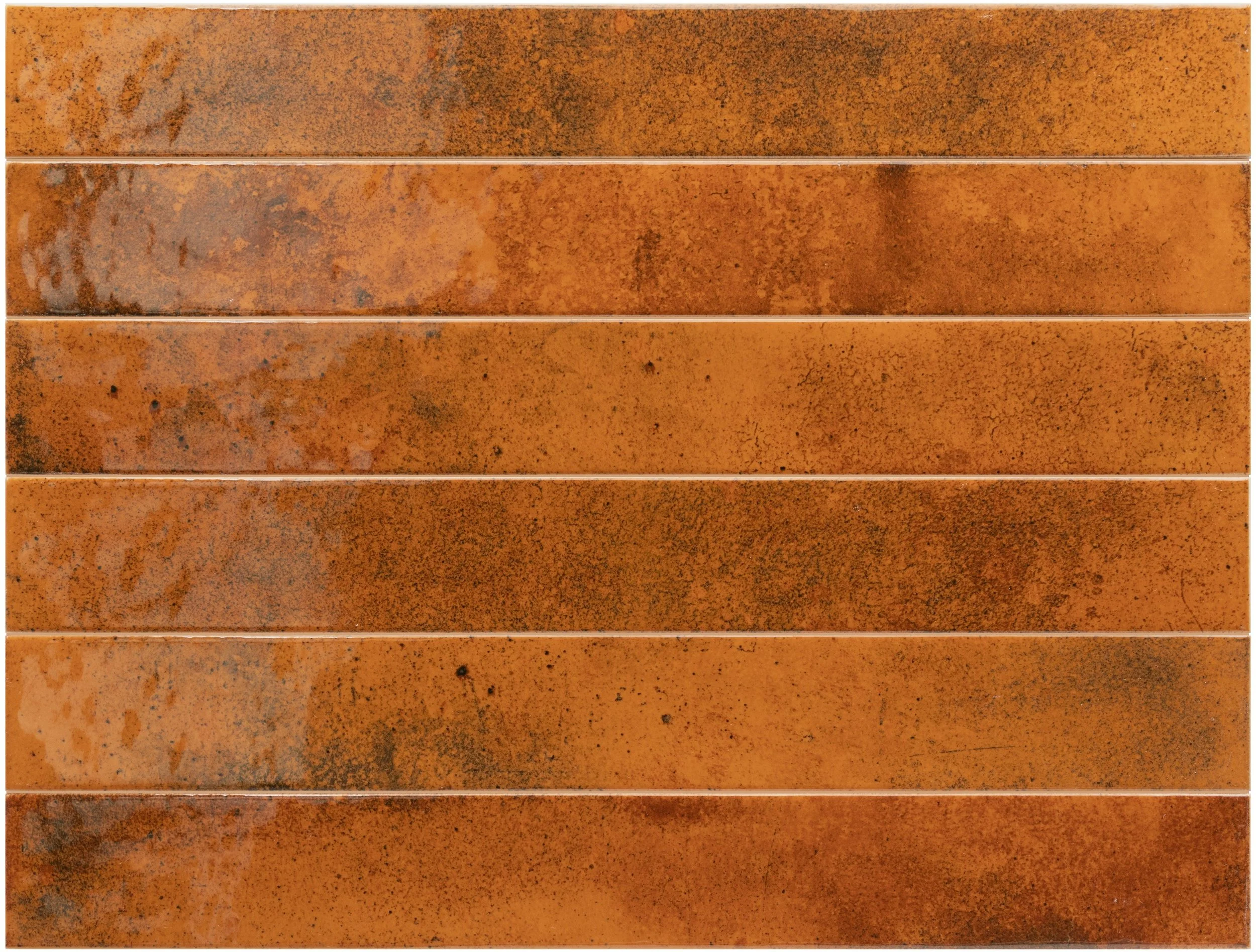 small_Axis -ginger-5x40-.jpg