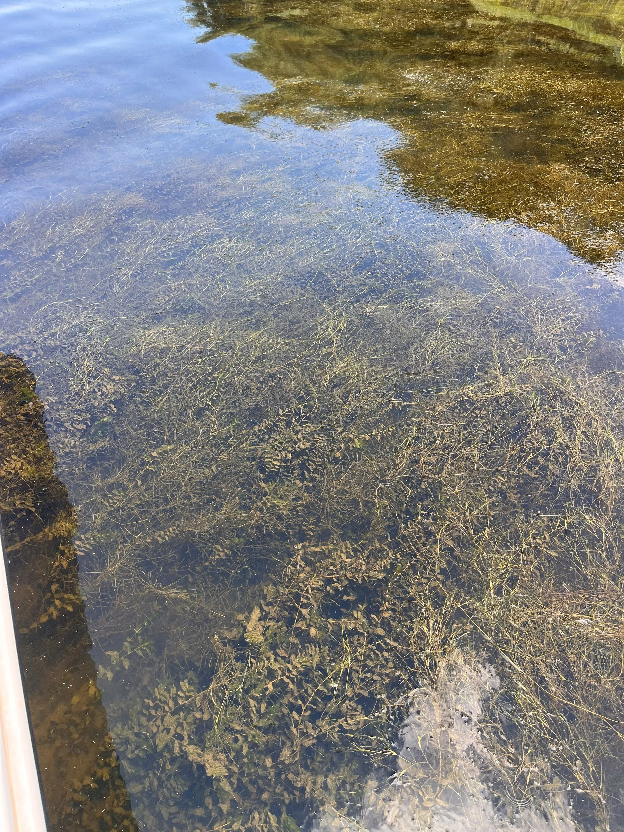 Steering Committee Meeting