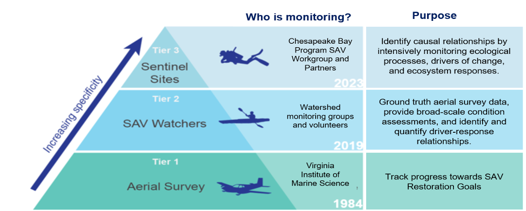 monitoring tiers