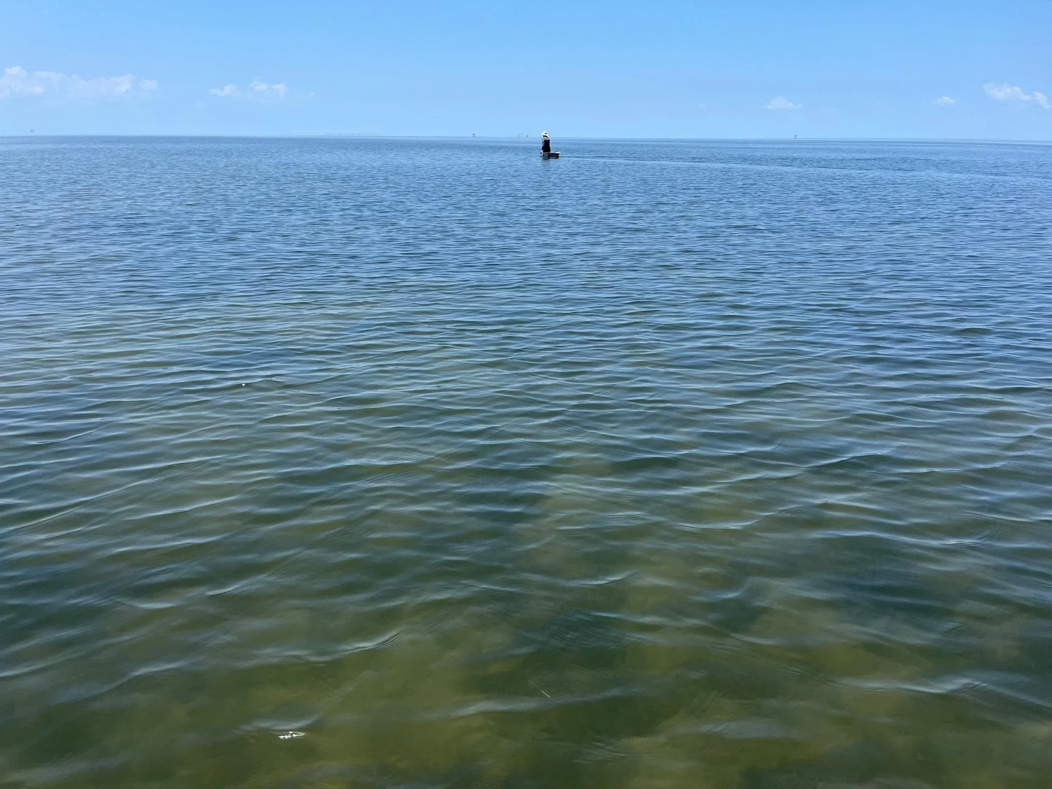 IMG_0067 - Tim Ellis.JPG