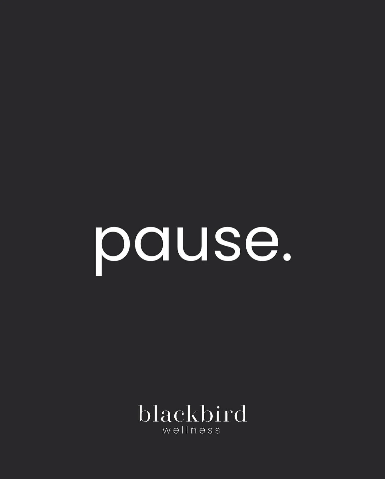 pause.

our time at 57 water street has come to a close, but blackbird isn&rsquo;t over, just evolving into what&rsquo;s next.

this isn&rsquo;t an ending. it&rsquo;s an expansion.
a moment between deep breaths.
a bold next step into whatever&rsquo;s