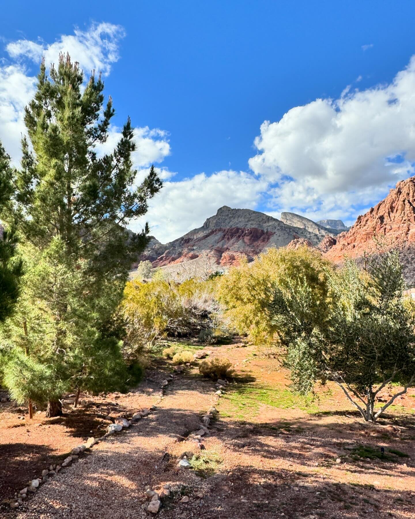 Weekly #weather report #highdesert #naturelover #winterfun #hikes