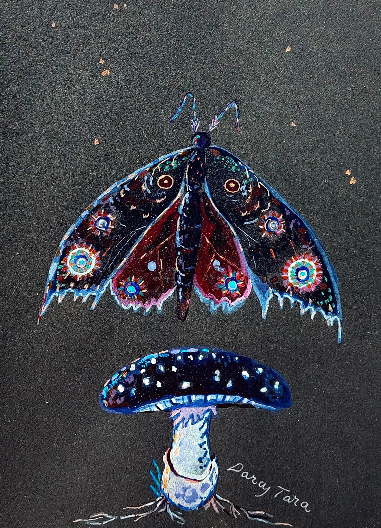 DarcyTaraMothsCC.jpg